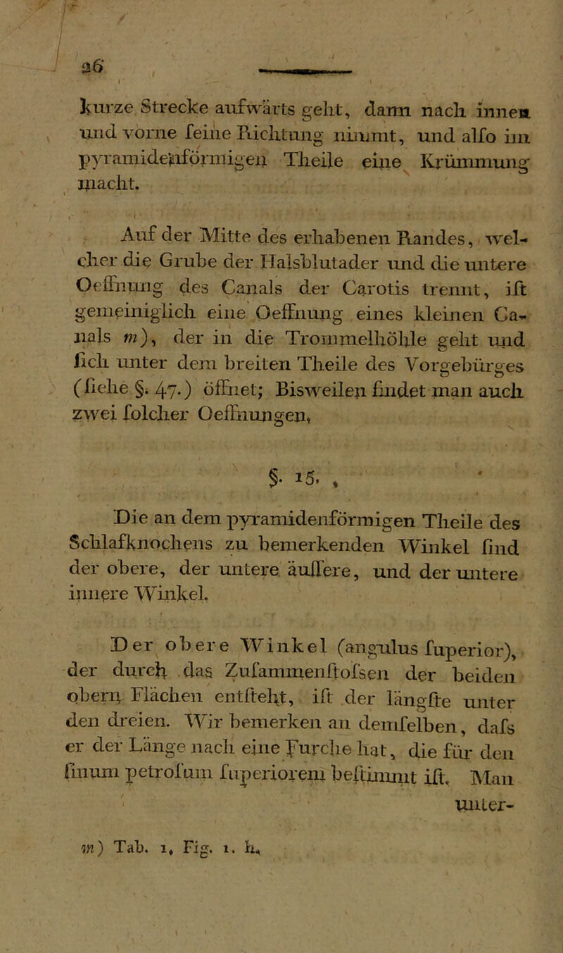 ■ _ I Jiurze Strecke aufwärts gellt, darm nacli innea ^ lind vorne feine Riclitung- nmmit, und alfo im pyramide’^iförmigeij Tlieile Krüniniung maclit. •1» Auf der Mitte des erhabenen Randes, wel- dier die Grube der Halsblutader und die mitere Oeffnung des Canals der Carotis trennt, ift geineinigiicli eine Oeffnung eines kleinen Ca- nals wz), der in die Trornmelhöhle geht uiid lieh unter dem breiten Theile des Voro^ebürsces (liehe §. 47.) öfüiet; Bisweilen findet man auch zwei folcher Oeffnungent Die an dem ]iyramidenförmigen Theile des Schlafknochens zu bemerkenden Winkel find der obere, der untere, äußere, und der mitere iiinere Wiiikel. f Der obere Winkel (angulus fuperior), der durch das Zufaninienftofsen der beiden obern Flächen entltefit, ift der längfte unter den di-eien. Wir bemerken an demfelben, dafs er der Länge nach eine Jur che hat, die für den finum petrofum fnperiorem beftimjut iii. Man miter- tn) Tab. 1, Fig. 1. h.