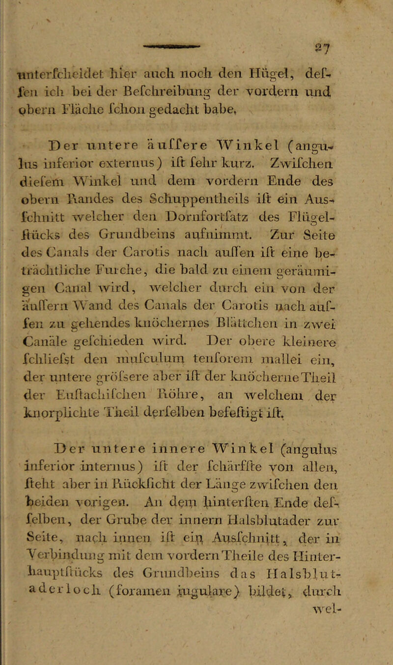 Tinterfdieidet liier aucli noch den Hügel, def-r feil ich hei der ßeCchreibang der vordem und gberii Fläche Ichoii gedacht habe, Der untere äuffere Winkel (angn-» Ins inferior externiis) ift fehr kurz. Zwifchen diefem Winkel und dem vordem Ende des obern Randes des Schuppentheils ift ein Aus- l’chnitt welcher den Dornfortfatz des Fldsrel- ftücks des Grundbeins aufnimmt. Zur Seite des Canals der Carotis nach auften ift eine be-r trächtliche Furche, die bald zu einem geräuini- sen Canal wird, weicher durch ein von der auftern Wand des Canals der Carotis nach auf- fen zu gehendes knöchernes Blättclien in zwei Canäle gefchieden wird. Der obere kleinere fchliefst den raufculum teiiforem mallei ein, der untere gröfsere aber ift der knöcherne Theil , der Euftachi fchen llölire, an welchem der knorplichte l’iieil d^rlelben befeftigt ift. Der untere innere Winkel (angulus inferior internus) ift der fcliärffte von allen, fteht aber in Rückficht der Länge zwifchen den beiden vorigen. An deni hinterften Ende def-, felben, der Grube der innern Halsblutader zur Seite, nach innen ift eip Ausfchnitt, der in Yerbindung mit dem vordemTheile des Hinter- liauptftücks des Gmiidbeins das Ilalsblut- a der loch (foramen iugulare) bildet, durch wel-