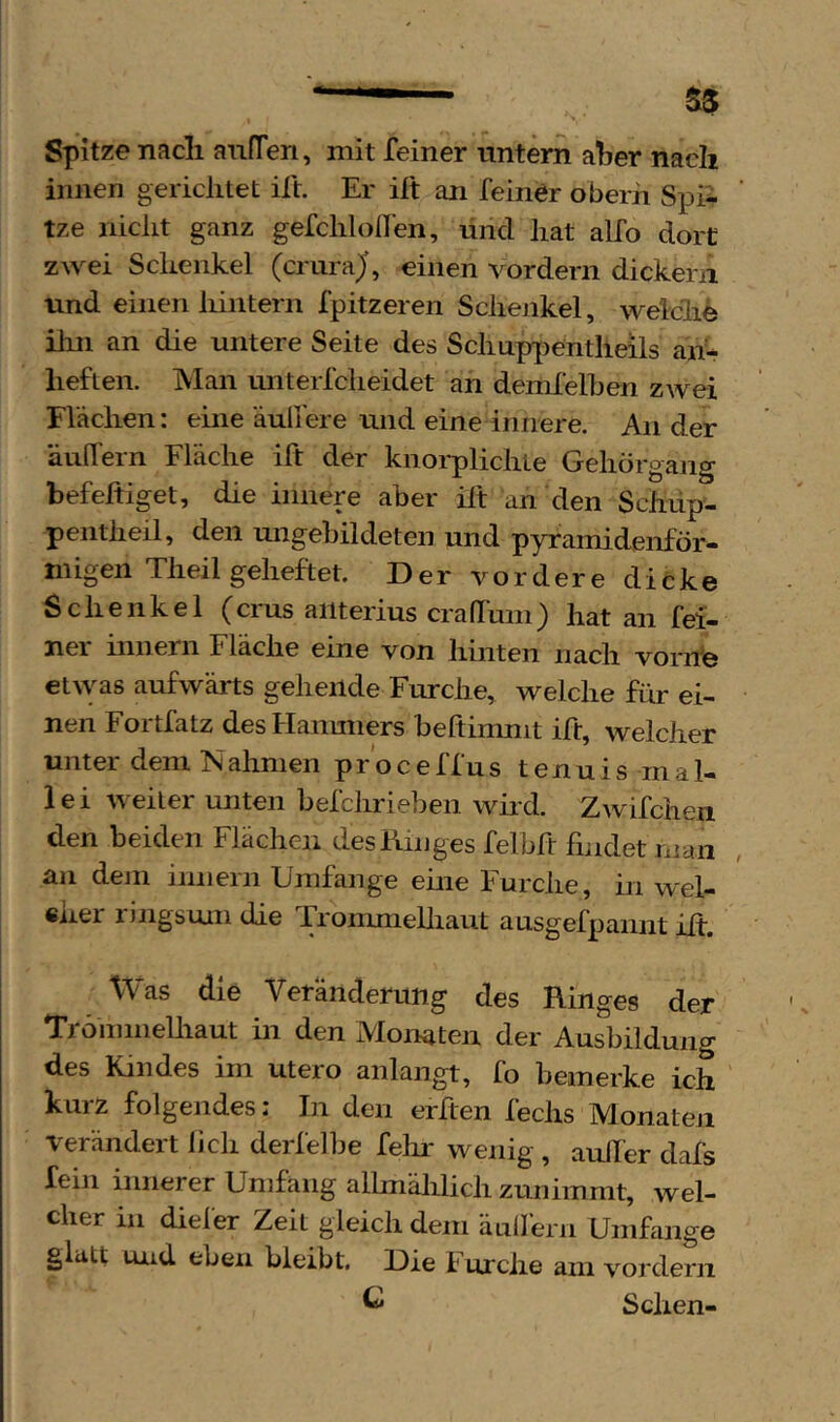 % ^ Spitze nach anfTen, mit feiner nntern aber nach innen gerichtet ift. Er ift an feiner oberh Spi- tze nicht ganz gefchlollen, und hat alfo dort zwei Schenkel (cruraj, einen vordem dickem und einenilintern fpitzeren Schejikel, welche ilui an die untere Seite des Schuppentheils an- heften. Man unterfcheidet an dend'elhen zwei Flächen: eine äulfere und eine innere. An der äulTern Fläche ift der knorplichte Gehörgaiig befeftiget, die innere aber ilt an den Schüp'- pentheil, den migebildeten und pyramidenför- migen Theil geheftet. Der vordere dicke Schenkel (crus aiiterius crafiTum) hat an fei- ner innern Fläche eine von hinten nach vorhe et\yas aufwärts gehende Furche, welche für ei- nen Fortfatz des Hanmiers beftimnit ift, welcher unter dem Nalmien proceffus tenuis mal- lei weiter unten befchrieben wird. Zwifchen den beiden Flächen des Ringes felbft findet man an deni innern Umfange eine Furche, in wel- cher ringsum die Trommelliaut ausgefpannt ift. Was die Veränderung des Ringes der Tronmielhaut in den Monaten der Ausbildung des Kindes im utero anlangt, fo bemerke ich kurz folgendes; In den erften fechs Monaten verändert lieh derlelbe felir wenig , auller dafs fein innerer Umfang allmälilich zunimmt, wel- cher in diefer Zeit gleich dem äulfern Umfange glatt und eben bleibt. Die Furche am vordem ^ Sehen-