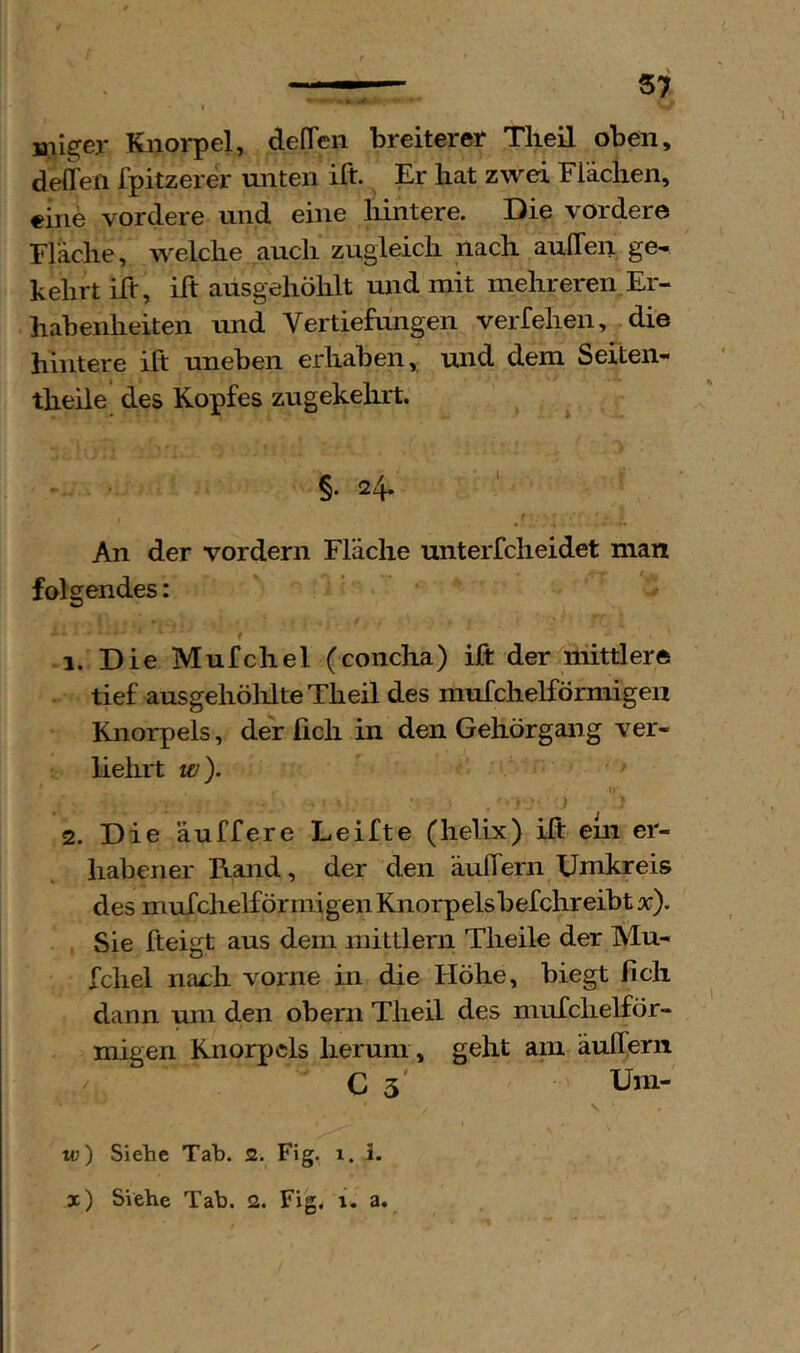 »liger Knorpel, delTen breiterer Tlieil oben, delTen fpitzerer unten ift. Er hat zwei Flächen, eine vordere und eine liintere. Die vordere Fläche, welche auch zugleich nach auITeii ge- kehrt ift, ift ausgehöhlt und mit mehreren,Er- habenheiten und Vertiefungen verfeben, die hintere ift uneben erhaben, und dem Seiten- theile des Kopfes zugekehrt. §• 24. An der vordem Fläche unterfcheidet man folgendes: 1. Die Mufchel (concha) ift der mittlere tief ausgehölilteXheil des mufchelförmigen Knorpels, der fich in den Gehörgang ver- iiehrt w). u } 2. Die ’äuffere Leifte (helix) ift ein er- habener Rand, der den äuftern Umkreis des mufchelförmigen Knorpelsbefchreibt x). Sie fteigt aus dem mittlern Theile der Mu- fchel nach vorne in die Höhe, biegt fich dann um den oberii Theil des mufchelför- niigen Knorpels herum , geht am äulfern C 3' Uni- tv) Siehe Tab. 2. Fig. 1. i.