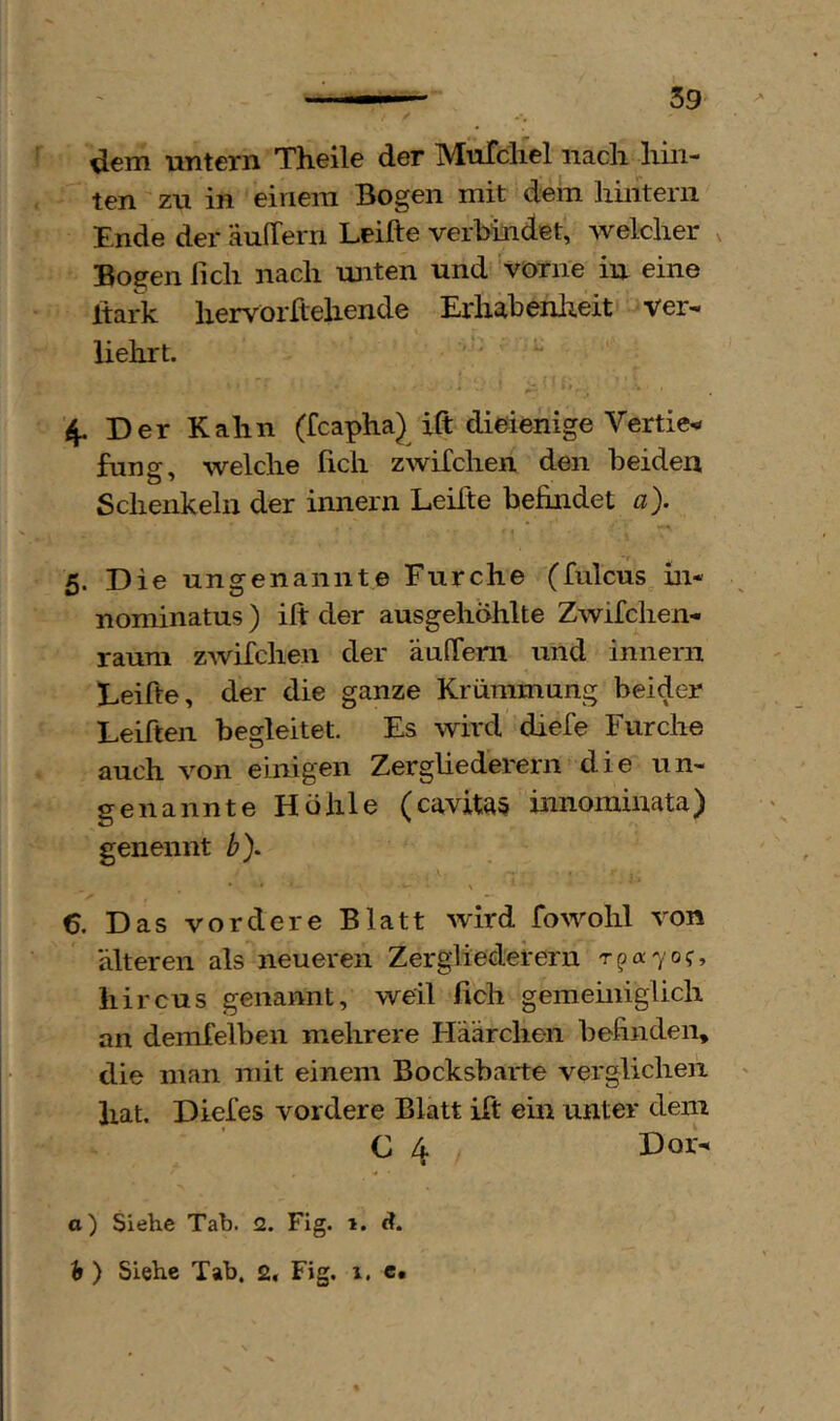 dem untern Theile der MuTchel nach hin- ten zu in einem Bogen mit dem hintern Ende der äulTern Leihe verbindet, welcher x Bogen lieh nach unten und vorne in eine hark hervorftehende Erhahenlreit ver- liehrt. 4. Der Kahn (feapha) ift dieienige Vertier fung, welche lieh zwifchen den beiden Schenkeln der innern Leihe befindet a). 5. Die ungenannte Furche (fulcus in- nominatus) ih der ausgehöhlte Zwifchen- raum zwifchen der äulTem und innern Leihe, der die ganze Krümmung beider Leihen begleitet. Es wird diefe Furche auch von einigen Zergliederern die un- genannte Höhle (cavitas innominata) genennt b). * ' 6. Das vordere Blatt wird fowohl von alteren als neueren Zergliedefern Tpa7o?, hircus genannt, weil fich gemeiniglich an demfelben mehrere Häärchen befinden, die man mit einem Bocksbärte verglichen hat. Diefes vordere Blatt ift ein unter dem G 4 Dot- a) Siehe Tab. 2. Fig. 1. rf.