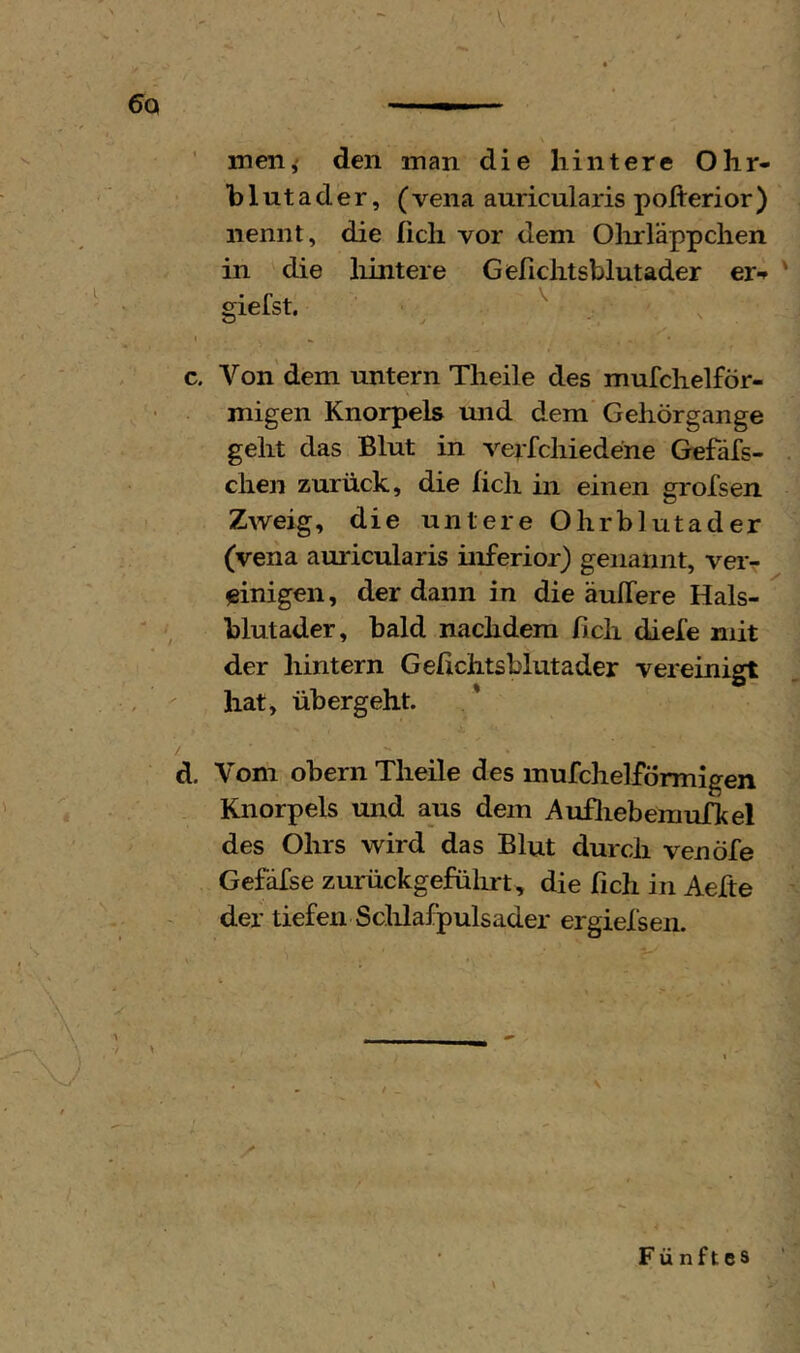 6q ' men,' den man die hintere Ohr- hlutader, (vena auricularis pofterior) nennt, die fleh vor dem Olirläppchen in die liintere Geflclitsblutader er-» giefst. I ^ c. Von'dem untern Theile des mufchelför- migen Knorpels mid dem Gehörgange gellt das Blut in verfcliiedene Gefäfs- chen zurück, die fleh in einen grofsen Zweig, die untere Ohrblutader (vena amicularis inferior) genannt, vei> einigen, der dann in die äulTere Hals- Blutader, bald nachdem fleh diefe mit der hintern Gefichtsblutader vereinigt hat, übergeht. * / d. Vom obern Theile des mufchelförmigen Knorpels und aus dem Aufliebemufkel des Ohrs wird das Blut durch venöfe Gefäfse zurückgefüiirt, die fleh in Aefte der tiefen Sclilafpulsader ergiefsen. Fü nftes