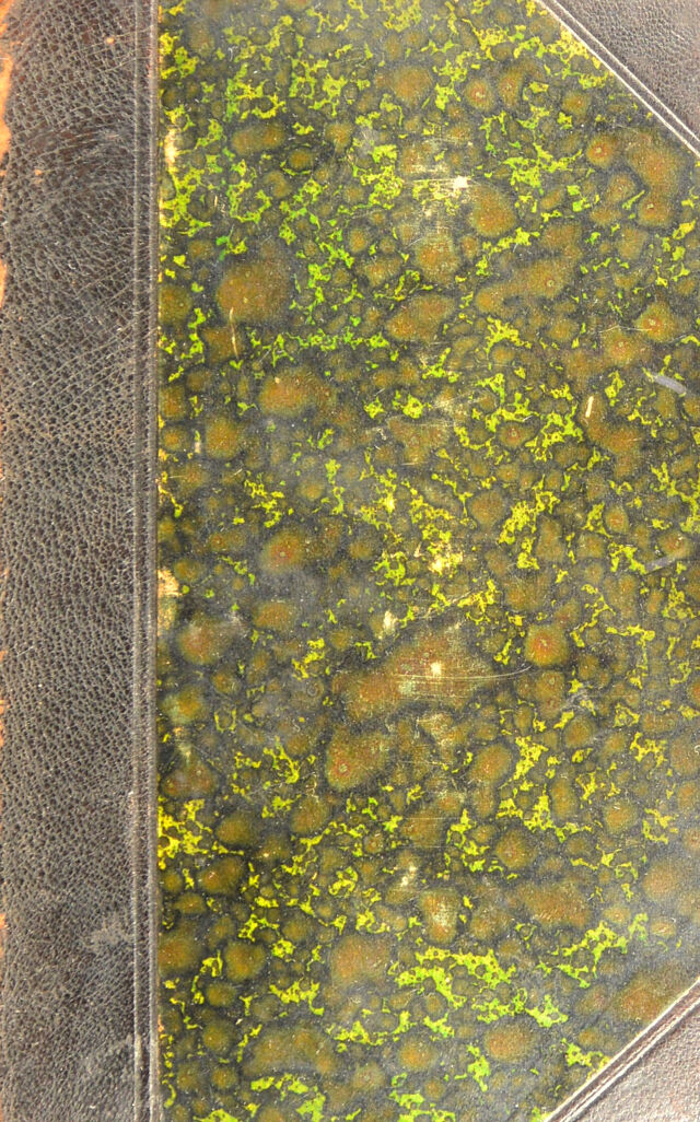 No text description is available for this image