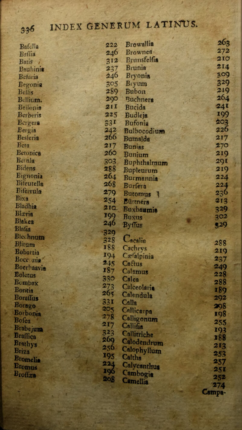 33^ Bofclla 222 Biowallia Baffia 246 Biownefl Batis / 312 Brnnsfelfia Bauli init 237 Bmnia Bclaria . 246 Biyonia Begonia 305 Biyum Bcilis 289 Bubon Bcllium. , 290 ' Buchnera Beilonia 211 Bucida Beiberis 225 Budieja Bcrgera 33* Bufonia Bergia 242 Bulbocodium Besieria 266 Bumalda Beta 2*7 Bunias Betonica Betala Bidens Bignonia BifcutelJa Bifenula Bixa \ Bladhia Blceria Btakea Binda Blci hnum BJlitum Bobartia Bocc Ilia' Bocrbaavia Boletus Bombax Bontia Boraffus Borago Borbonia Bolca Brabejuw Braffica Brathys ' Briza Biomella Bromus Bfoflxa 260 Bunium 303 Buphthalmum 288 Bupleurum 264 Buimannia 268 Burfeia 279 Butomus 1 254 Biirtnera 2*0- Buxbaamia *99 Buxus 246 Byffuy '329 - 328 ^^acalto *88 Caebrys 194 Carfalpinia 245 Ca£lus *f87 Calamus 330 Calea ' ' 273 Calceolarii 2o^ Calendula ' 331 Calla 205 Cflllicarpa 278 Calligonum 2*7 Callifia 323 Callitriche ^®*opHyllum *9S Caltha 224 Calycanthuf 299 Cambogii Camellia 263 272 210 214 309 329 219 264 24* 199 ^3 226 217 270 219 291 219 224 224 236 2*3 329 302 529 288 219 237 249 228 288 189 292 398 198 255 193 188 2*3 253 257 251 252 274 Campa-