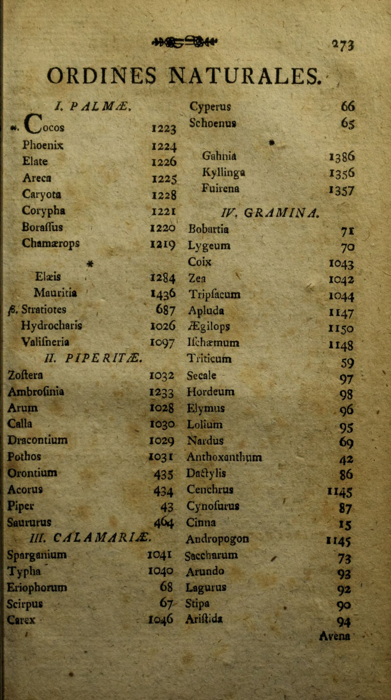 175 ORDINES NATURALES. /. P ALMM, Cyperus 66 Crocos 1223 Schoenus 65 Phoenix 1224 • Elate ,226 1386 Areca 1225 Kylling. 1356 Caryota U28 *357 Corypha 1221 jr. GRAMWA. BoralTus 1220 Bobartia 71 Chamaerops 1219 Lygeum 70 « Coix 1043 Elxis 1284 Zea ^ 1042 Mauritla 1436 Tripfacum 1044 /6. Stratiotes , 687 Apluda 1147 Hydrocharis 1026 .^gilops 1150 Valirneria 1097 lichxmum 1148 //. PIPERIT/E. Triticum 59 Zoftera 1032 Secale 97 Ambroiinia 1233 Hordeum 98 Arum 1028 Elymus 96 Calla 1030 Lolium 95 Dracontium 1029 Nardus 69 Pothos 1031 Anthoxanthum 42 Orontium 435 Daily Hs 86 Acorus 434 Cenchrus *I45 Pipev 43 Cynofurus 87 Saumrus 464 Cinna 15 ///. CAtAMARIJE. Andropogon 1145 Sparganium 1041 Saccharum , 73 Typha 1040 Arundo 93 Eiiophorum 68 Lagurus 92 Scirpus 67 Stipa 90 Carex 1046 Ariliida 94 / Avfena I -■