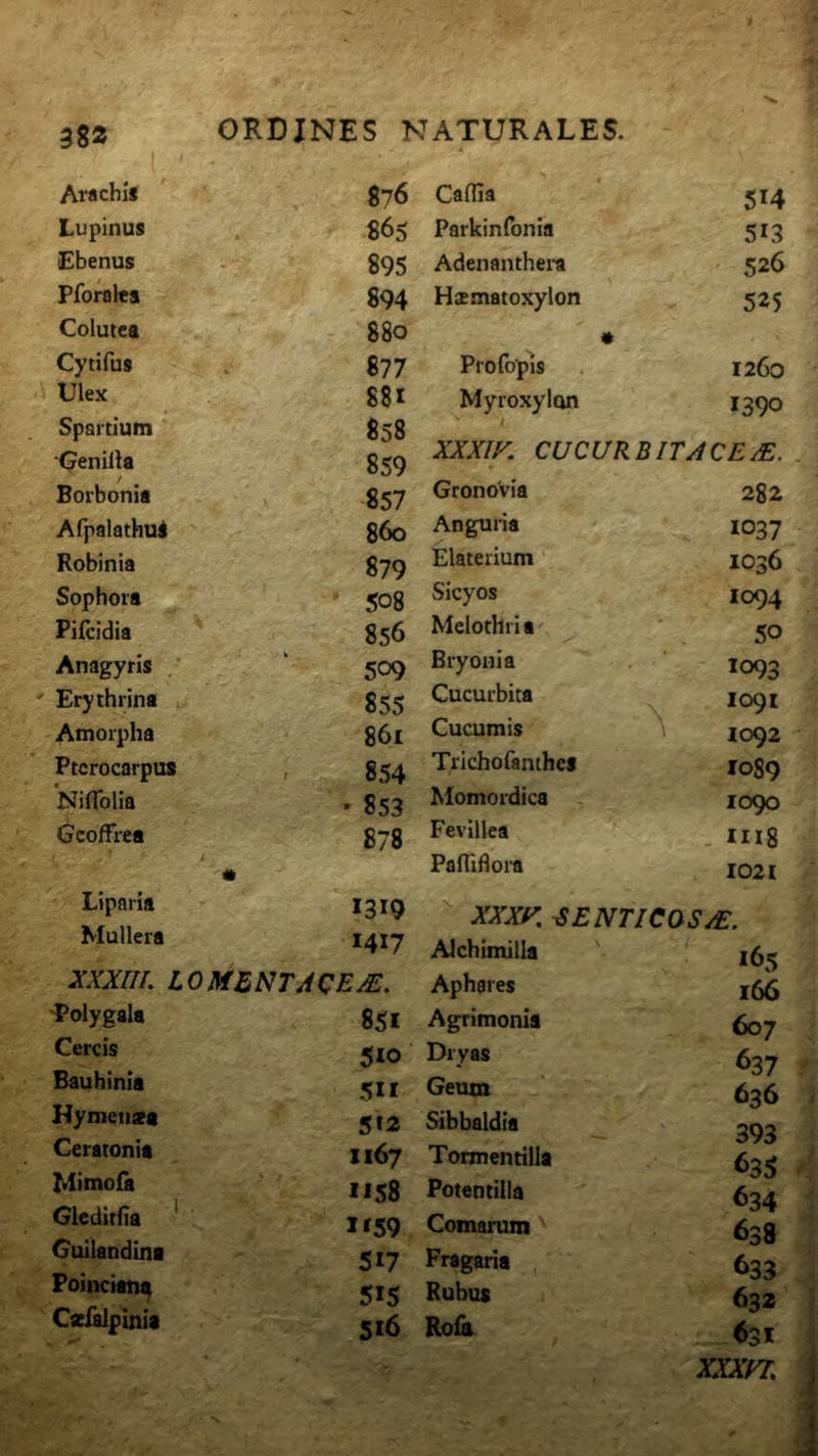 Arachis 876 Lupinus 865 Ebenus 895 Pforalca 894 Colutea 880 Cytifus 877 Ulex 88i Spartium 858 Genilla 859 Borbonia 857 Afpalathui 860 Robinia 879 Sophoia 508 Pifcidia 856 Anagyris , 509 Erythrina 855 Amorpha 861 Pterocarpus , 854 Niflblia * 853 GcofFrea 878 • Liparia 1319 Muliera 1417 XXXUL LOMENTACE^, ■Polygala 851 Cereis 510 Bauhinia 511 Hymensa 5*2 Ceratonia 1167 Mimofa 1158 Glcditfia * If59 Guilandina 517 Poinciant^ 515 Cacfalpinia 5*6 Caffia 5*4 Parkinfonia 513 Adenanthei-a 526 Hamatoxylon 525 • Profopls 1260 Myroxylon 1390 XXXIK CUCURBITACE^. Gronovia 282 Anguria 1037 Elaterium *' 1036 Sicyos 1094 Melothri a 50 Bryonia 1093 Cucurbita \ 1091 Cucumis \ 1092 Trichofanthes 1089 Momordica 1090 Fevillea . 1118 Pafllflora 1021 XXXi^, GENTICOSjE, Alchimilla *65 Aphares 166 Agrimonia 607 Dryas 637 Geum 636 Sibbaldia 393 Tormentilla 635 Potentilla 634 Comarum 638 Fragaria 633 Rubus 632 Roia 631 XXXEJ.