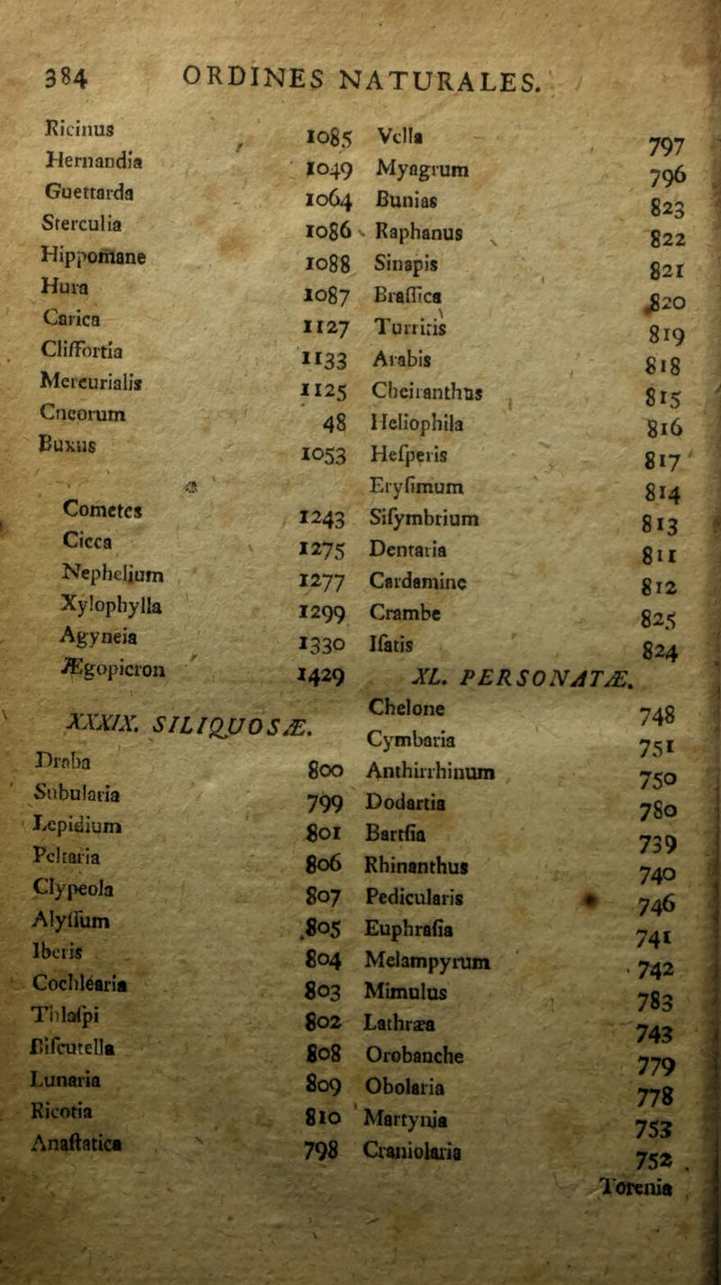 Kicinus Heniandia ^ Guettarda Sterculia Hippoftane Hura Carica ClifFortla Mercuriali* Cucorum Buxus Cometes Cicca Nephelium Xylophylla ‘ Agyneia ^gopicron 1085 Vella 7^1 1049 Myagrum 796 1064 Bunias 823 1086 ^ Raphanus ^ 822 1088 Sinapis 821 1087 BralHca ^20 1127 Tu n iris 819 1133 Arabis 818 1125 Cheiranthns 815 ' 48 Meliophila 816 1053 Hefperis , 817' Eryfimum 814 1243 Silymbtium 813 1275 Denraria 8ri 1277 Cardaminc 812 1299 Crambe 825 1330 Ifatis 824 1429 Ai. PERSONATM. XXXIX. SILIQJJO sm. Chelone Cymbaria Praba 800 Anthirrhinum Subularia s. 799 Dodartia Lepidium Soi Bartfia Peltati a 806 Rhinanthus Clypeola 807 Pedicularis AlylFum .805 Euphrafia 1 betis 804 Melampyrum Cochlearia 803 Mimulus Thlalpi 802 Lathrxa Bifcutella 808 Orobanche Lunaria 809 Obolaria Kicotia 810 Martyuia Anaftatica '' 798 Crauiolaiia 748 751 750 780 739 740 ♦ 746 741 ' 742 783 743 779 778 753 752 . Torenia .