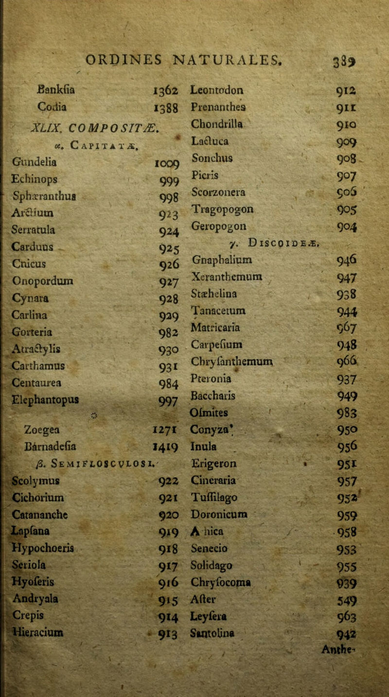 Bankiia 1362 Codia 1388 XLIX. COMPOSITjE. t. 05, Capitata, i Gundelia i 1009 i Echinops 999 Spharranthua 998 ArSium 923 i Serratula 924 Carduus 925 Cnicus 926 Onopordum 927 Cynara 928 Carlina 929 ; Gorteria 982 \ Atraftylis 930 ^ -Carthamus 931 j. Centaurea 984 Elephantopus 997 Zoegea 1271 E^rnadciia 1419 yS. Semifloscvi-osi. ; Scolymus 922 Cichoiium 921 Catananchc 920 Lnpfana 9»9 Hypochoeris 918 Seriola 917 Hyoferis 9(6 1 Andryala 9‘5 Crepis 914 -ilieracium * 913 Leontcrdon 912 Prenanthes 911 Chondrilla 910 Lacluca 909 Sonchus 908 Picris 907 Scorzonera 90S Tragopogon 90S Geropogon 904 y. DiscoioE-t, Gnaphalium 946 Xeranthemura 947 Stshelina 938 Tanacetum 944 Matricalia 967 Carpefium 948 Chryianthemum 966 Pteronia 937 Baccharis 949 Oimites ' - 983 Conyza’ 950 Inula 956 Erigeron 951 Cincraria 957 Tuflilago 952' Doronicum 959 A inca 958 Senecio 953 Solidago 955 Chryfocoma 939 After 549 Leyfera 963 SuitoUna 94^ Amhe-' r