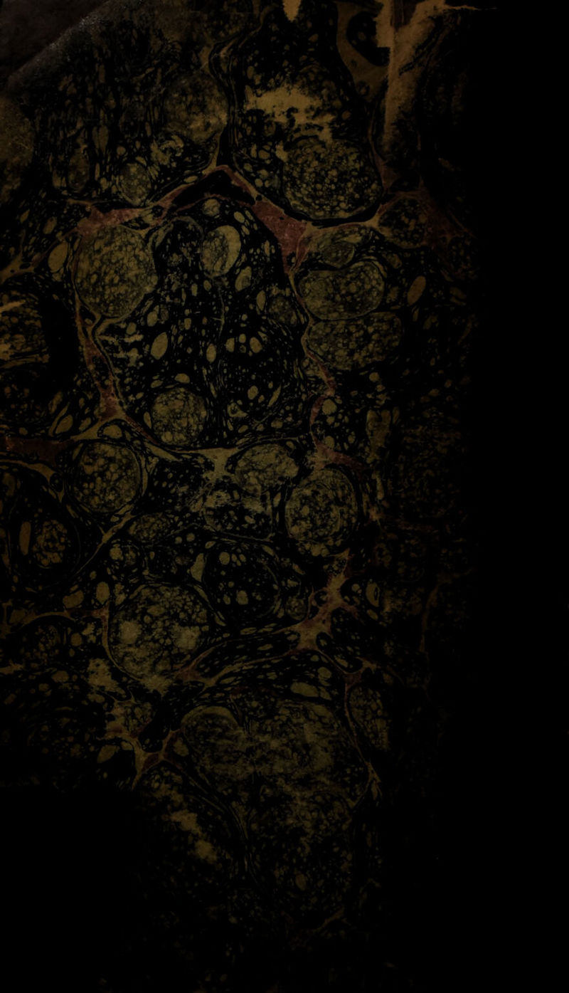 No text description is available for this image