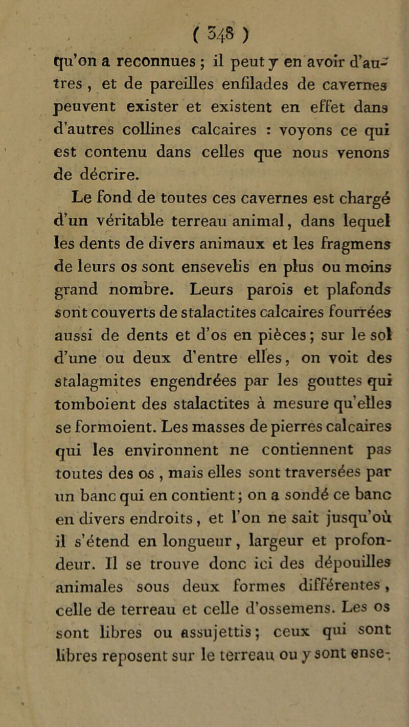 qu’on a reconnues ; il peut j en avoir d’au- tres , et de pareilles enfdades de cavernes peuvent exister et existent en effet dans d’autres collines calcaires : voyons ce qui est contenu dans celles que nous venons de décrire. Le fond de toutes ces cavernes est chargé d’un véritable terreau animal, dans lequel les dents de divers animaux et les fragmens de leurs os sont ensevelis en plus ou moins grand nombre. Leurs parois et plafonds sont couverts de stalactites calcaires fourrées aussi de dents et d’os en pièces ; sur le sol d’une ou deux d’entre elles, on voit des stalagmites engendrées par les gouttes qui tomboient des stalactites à mesure qu’elles se formoient. Les masses de pierres calcaires qui les environnent ne contiennent pas toutes des os , mais elles sont traversées par un banc qui en contient ; on a sondé ce banc en divers endroits , et l’on ne sait jusqu’où il s’étend en longueur, largeur et profon- deur. Il se trouve donc ici des dépouilles animales sous deux formes différentes, celle de terreau et celle d’ossemens. Les os sont libres ou assujettis ; ceux qui sont libres reposent sur le terreau ou y sont ense-.