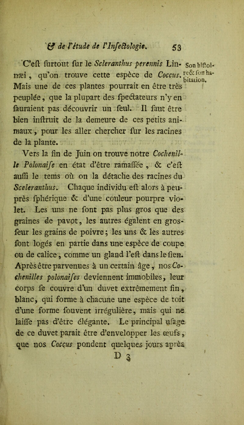 C’efi: furtout fur le Scieranthus perennis Lin- Sonbitfoî- næi. qu’on trouve cette espèce de CoccusA’^&fülTha* Mais une de ces plantes pourrait en être très peuplée, que la plupart des fpeélateurs n’y en fauraient pas découvrir un feul. Il faut être bien indruit de la demeure de ces petits ani- maux , pour les aller chercher fur les racines de la plante. Vers la fin de Juin on trouve notre Cochenil- le Polonaife en état d’être ramaffée , & c’ed aufîi le tems où on la détache des racines du Sceleranthus. Chaque individu ed alors à peu- près fphérique & d’une couleur pourpre vio- let. Les uns ne font pas plus gros que des graines de pavot , les autres égalent en gros- feur les grains de poivre ; les uns & les autres font logés en partie dans une espèce de coupe ou de calice, comme un gland l’ed danslefien. Après être parvenues à un certain âge, nosCo- çhenilles polonaifes deviennent immobiles, leur corps fe couvre d’un duvet extrêmement fin, blanc, qui forme à chacune une espèce de toit d’une forme fouvent irrégulière, mais qui ne laide pas d’être élégante. Le principal ufage de ce duvet parait être d’envelopper les œufs, que nos Cacçus pondent quelques jours après D %