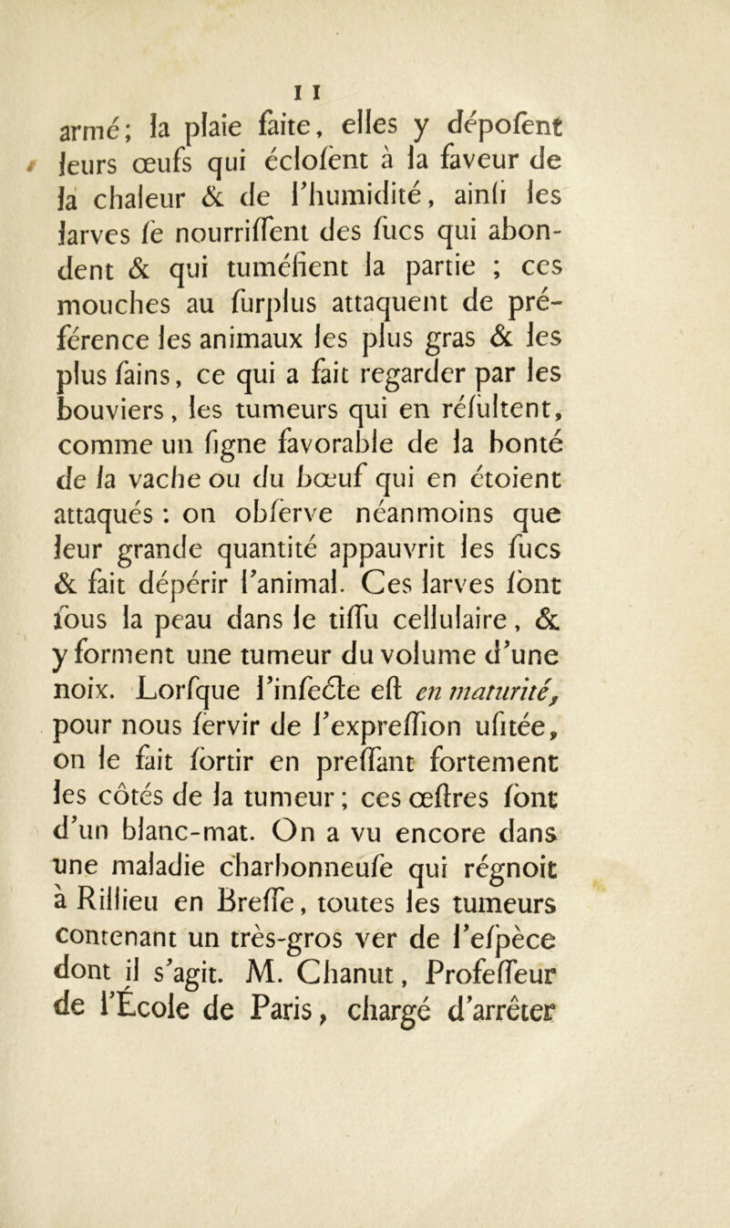 armé; la plaie faite, elles y dépofènt leurs œufs qui éclolènt à la faveur de la chaleur & de l’humidité, ainli les larves le nourrilfent des fucs qui abon- dent & qui tuméfient la partie ; ces mouches au furplus attaquent de pré- férence les animaux les plus gras & les plus fains, ce qui a fait regarder par les bouviers, les tumeurs qui en réfiiltent, comme un ligne favorable de la bonté de la vache ou du bœuf qui en étoient attaqués : on oblèrve néanmoins que leur grande quantité appauvrit les fucs & fait dépérir l’animal. Ces larves font fous la peau dans le tilfu cellulaire, & y forment une tumeur du volume d’une noix. Lorfque l’infecte elt en maturité, pour nous lervir de l’exprelîion ufitée, on le fait lortir en prelfant fortement les côtés de la tumeur ; ces œftres font d’un blanc-mat. On a vu encore dans une maladie charbonneufe qui régnoit à Rillieu en Brelfe, toutes les tumeurs contenant un très-gros ver de l’elpèce dont il s’agit. M. Chanut, Profelfeur de l’École de Paris, chargé d’arrêter