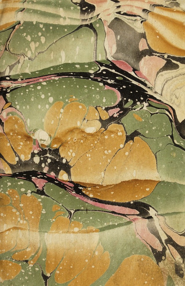 No text description is available for this image