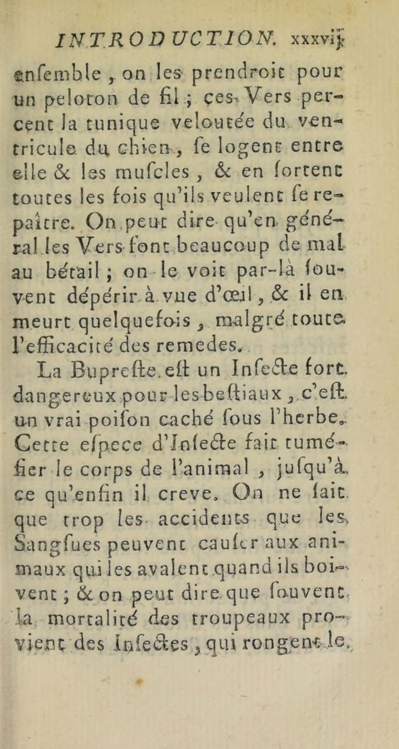 cnfemble , on les prendrok pour un peloton de fil ; ces. Vers per- cent la tunique veloutée du ven^ triculo, du chien, fe logent entre elle 6c Iss mufcles , 6c en fortenc toutes les fois qu’ils veulent fe re- paître. On peut dire qu’en géné- ral les Vers font beaucoup de mal au bétail; on le voit par-la fou- vent dépérinà vue d’œjl, & il en meurt quelquefois ^ malgré toute, l’efficacité des remedes. La Buprefte.eil: un Inreéle fort, dangereux pour lesbefiiaux j.ç’eft. u-n vrai poilon caché fous l’herbe,. Cette efpece d’Jnfeéfe fait tumé- fier le corps de l’animal , jufqu’à. ce qu’enfin il creve. On ne fait que trop les- accidenta que les. San^rfues peuvent caufcr aux ani- maux qui les avalent quana ils boi^' vent ; Ôc on peut dire.que fouvenc, .la mortalité des troupeaux pro- vient des infedes ^ qui rongen't le.^