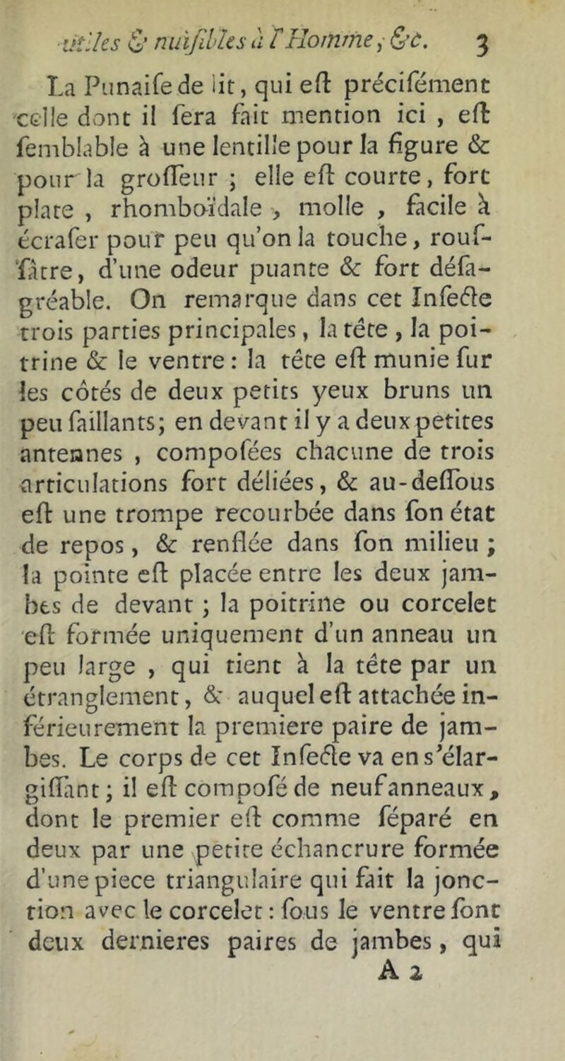 üîlks & nuifilks à kHomme ,• &ù. 5 La Pimaifede iit, qui efl: précifément celle dont il fera fait mention ici , efl femblable à une lentille pour la figure & pour la grolTeur ; elle efi: courte, fort plate , rhomboïdale , molle , facile k écrafer pour peu qu’on la touche, rouf- ’fàcre, d’une odeur puante & fort défa- gréable. On remarque dans cet Infedle trois parties principales, la tête , la poi- trine & le ventre : la tête efi: munie fur les côtés de deux petits yeux bruns un peu faillants; en devant il y a deux petites antennes , compofées chacune de trois articulations fort déliées, & au-defîbus efi une trompe recourbée dans fonétat de repos, & renflée dans fon milieu ; la pointe cft placée entre les deux jam- bes de devant ; la poitrine ou corcelct efi formée uniquement d’un anneau un peu large , qui tient à la tête par un étranglement, & auquel efi attachée in- férieurement la première paire de jam- bes. Le corps de cet înfeéle va ens’élar- gifliant; il eficompoféde neuf anneaux, dont le premier efi comme féparé en deux par une petite échancrure formée d’une piece triangulaire qui fait la jonc- tion avec le corcelet : fous le ventre font deux dernieres paires de jambes, qui