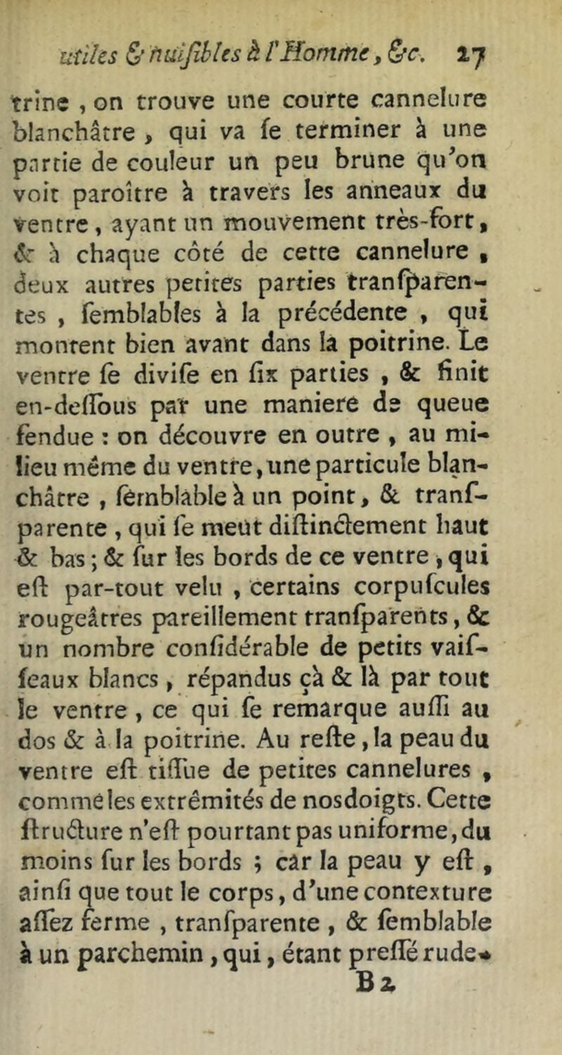 uùks 5’ tiüifihhs à rHomme, &c. ij trîne , on trouve une courte cannelure blanchâtre , qui va fe terminer à une partie de couleur un peu brune qu^on voit paroître à travers les anneaux du ventre, ayant un mouvement très-fort, h chaque côté de cette cannelure , deux autres petites parties tranfjiaren- tes , femblables à la précédente , qui montent bien avant dans la poitrine. Le ventre fe divife en fîx parties , & finit en-defîbus par une maniéré de queue fendue : on découvre en outre , au mi- lieu même du ventre,une particule blan- châtre , fêrnblableâ un point, & tranf- parente , qui fe meut diflinclement haut & bas ; & fur les bords de ce ventre ^ qui eft par-tout velu , certains corpufcules rougeâtres pareillement tranfparents, & un nombre confîdérable de petits vaif- feaux blancs, répandus çà & là par tout le ventre, ce qui fe remarque aufTi au dos & à la poitrine. Au refte, la peau du ventre eft tifTue de petites cannelures , comme les extrémités de nosdoigts. Cette ftruéture n’eff pourtant pas uniforme,du moins fur les bords ; câr la peau y efl:, ainfi que tout le corps, d^une contexture affez ferme , tranfparente , & femblable à un parchemin, qui, étant preflë rude^