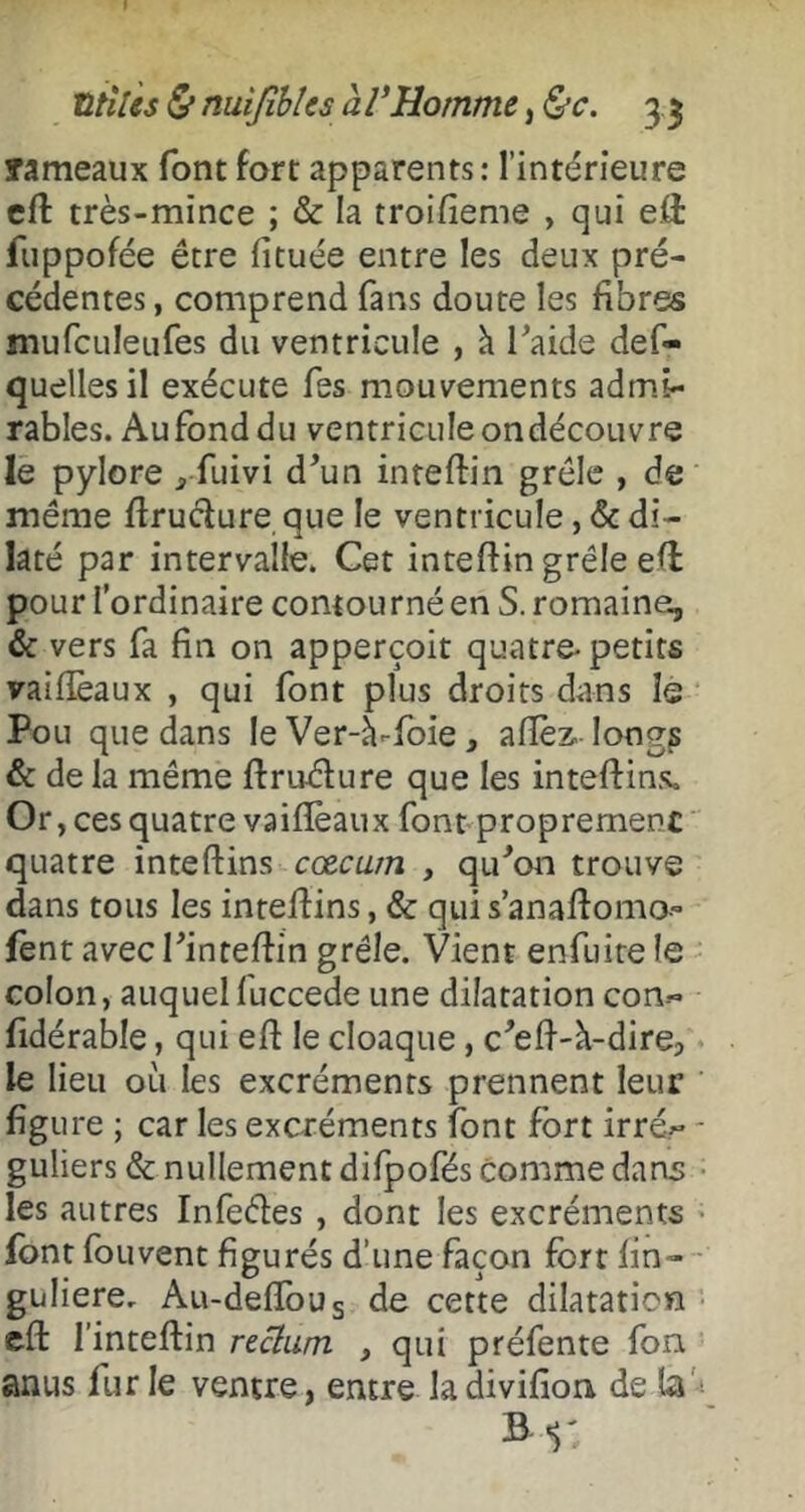 îameaux font fort apparents : l’intérieure cft très-mince ; & la troifieme , qui efè fuppofée être fituée entre les deux pré- cédentes , comprend fans doute les fibres mufculeufes du ventricule , à Taide def- quelles il exécute Tes mouvements admi- rables. Aufonddu ventriculeondécouvre lé pylore , fuivi d^un inteftin grêle , de même ftruclure que le ventricule, & di- laté par intervalle. Cet inteflin grêle ell pour l’ordinaire contourné en S. romaine, & vers fa fin on apperçoit quatre-petits vaiflèaux , qui font plus droits dans le * Pou que dans le Ver-à-foie, aflèz- long^ & de la même ftruéfure que les inteftins. Or , ces quatre vaiflèaux font proprement ’ quatre inteftins cœcuin , qu^on trouve dans tous les inteflins, & quis’anaflomo» fènt avec rinteflin grêle. Vient enfuirele - colon, auquel fuccede une dilatation con.-> fidérable, qui efl le cloaque, c^efl-à-dire, le lieu où les excréments prennent leur figure ; car les excréments font fort irrér - guliers & nullement difpofés comme dans • les autres Infeêles , dont les excréments ’ font fou vent figurés d’une façon fort fin-- guliere. Au-deflbus cette dilatation ■ eft l’inteftin reclum , qui préfente fon anus fur le ventre, entre la diviflon de la-'-