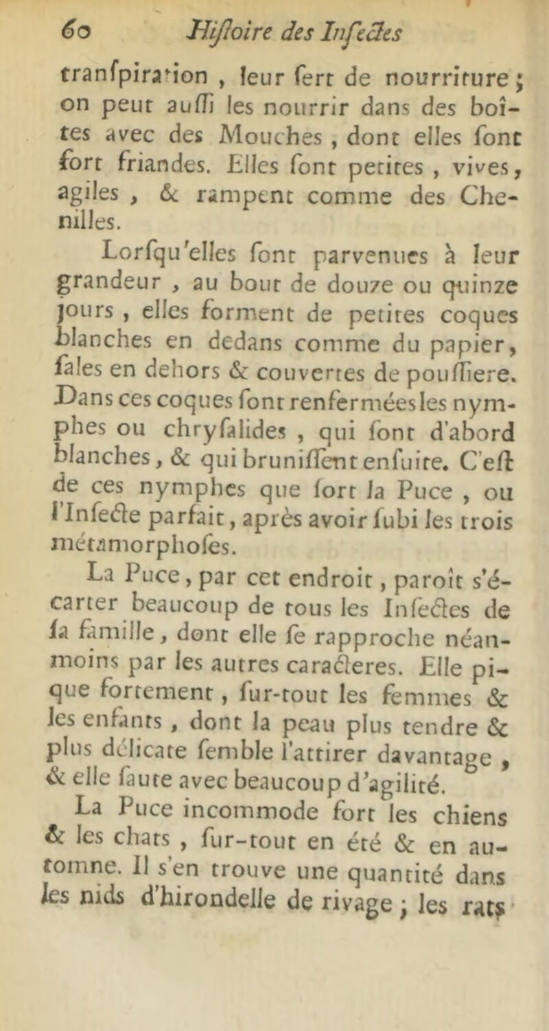 tranfpiraM’on , leur ferr de nourriture j on peur auiïi les nourrir dans des boî- tes avec des Mouches , dont elles font fort friandes. Elles font petites , vives, agiles , &: rampent comme des Che- nilles. Lorfqu'elles font parvenues à leur grandeur , au bout de douze ou quinze jours , elles forment de petites coques blanches en dedans comme du papier, fales en dehors & couvertes de poufTiere. Dans ces coques font renfermées les nym- phes ou chryfalides , qui font d’abord blanches, & quibrunifîèntenfuire. C’eff de ces nymphes que fort fa Puce , ou I Infeéle parfait, après avoir fubi les trois niétamorphofes. La Puce, par cet endroit, paroît s’é- carter beaucoup de tous les Infeèles de fa fîmille, dont elle fè rapproche néan- moins par les autres carafleres. Elle pi- que fortement, fur-tout les femmes & les enfants, dont la peau plus tendre & plus délicate femble l’attirer davantage , & elle faute avec beaucoup d'agilité. La Puce incommode fort les chiens & les chats , fur-tout en été & en au- tomne. Il s’en trouve une quantité dans ks nids d’hirondelle de rivage ; les rat? •