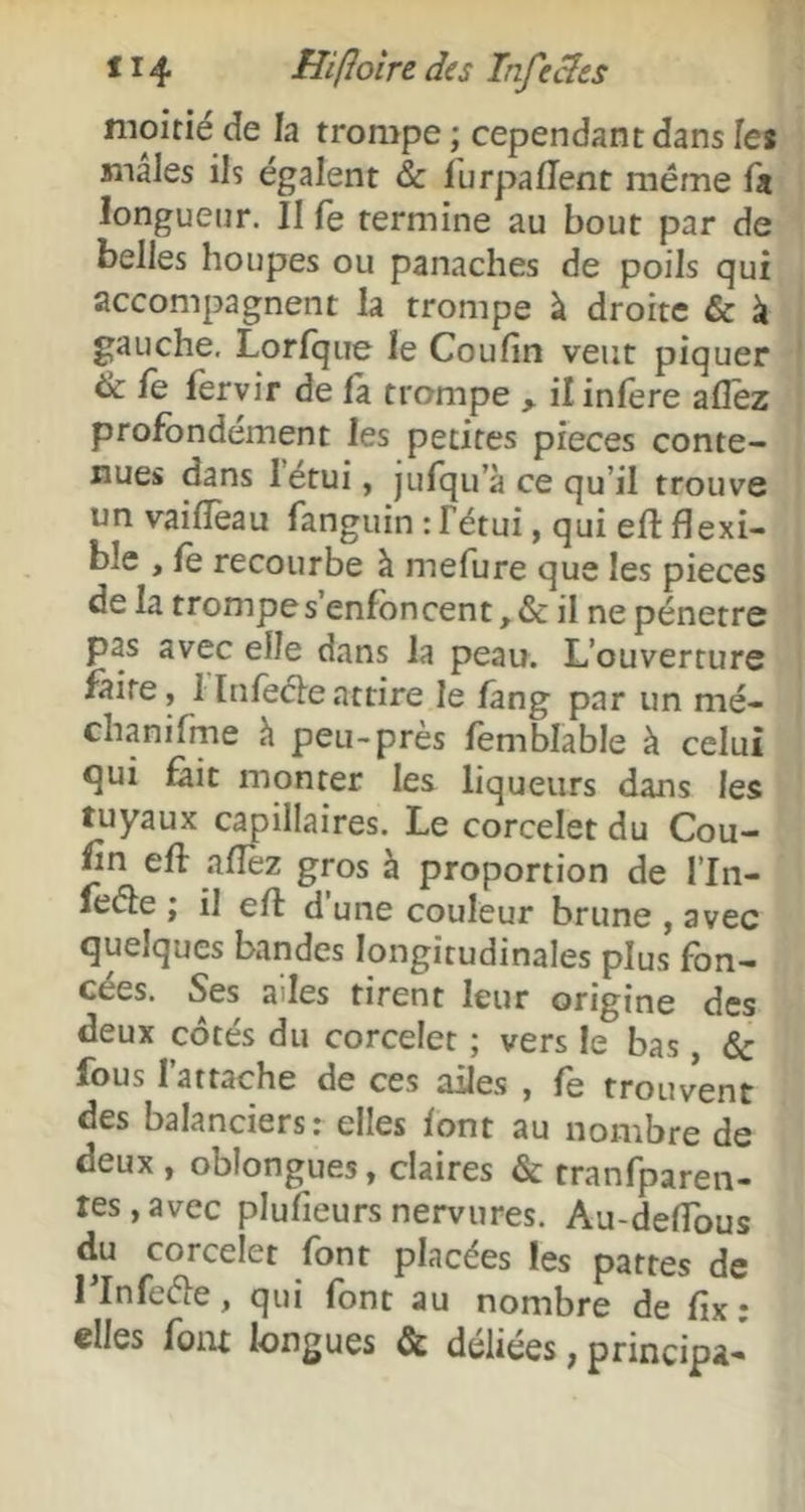 moitié de la trompe ; cependant dans les maJes ils égalent & lurpaflent même fa longueur. II fe termine au bout par de belles houpes ou panaches de poils qui accompagnent la trompe à droite & à gauche. Lorfque le Coufin veut piquer & fe fervir de fa. trompe > il inféré allez profondément les petites pièces conte- nues dans létui, jufqu’à ce qu’il trouve un vailfeau fanguin : fétui, qui eft flexi- ble , le recourbe à mefure que les pièces de la trompe s’enfoncent, & il ne pénétré pas avec elle dans la peau. L’ouverture faire, 1 Infeéleattire le fang par un mé- chanifme h peu-près lemblable à celui qui feit monter les liqueurs dans les tuyaux capillaires. Le corcelet du Cou- fin eft alîèz gros à proportion de l’In- lèéle ; il eft d une couleur brune , avec quelques bandes longitudinales plus fon- cées. Ses ailes tirent leur origine des deux côtés du corcelet ; vers le bas, & fous l’attache de ces ailes , fe trouvent des balanciers: elles font au nombre de deux , oblongues, claires & tranfparen- tes,avec plufieursnervures. Au-delfous du corcelet font placées les patres de rinfeéle, qui font au nombre de fix: elles foiu longues & déliées, principa-