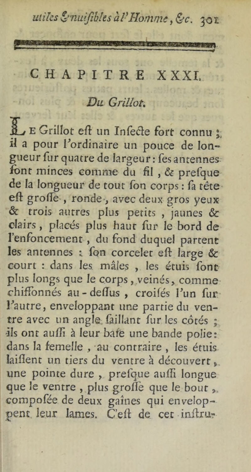 CHAPITRE XXXL Du Grillou EL E Grillot efl un Infede fort connu il a pour I^ordinaire un pouce de lon- gueur fur quatre de largeur: fes antennes font minces comme du fil , & prefque de la longueur de tout fon corps : fa tête eft grofie , ronde , avec deux gros yeux & trois autres plus petits , jaunes & clairs, placés plus haut fur le bord de l’enfoncement , du fond duquel partent les antennes ; fon corcelet eft large & court : dans les mâles , les étuis font plus longs que le corps, veinés, comme chiffonnés au - deflus , croifés Pun fur- Pautre, enveloppant une partie du ven- tre avec un angle. Paillant fur les cotés ; ils ont aufîi à leur baie une bande polie: dans la femelle , au contraire , les étuis laiflent un tiers du ventre h découvert, une pointe dure , prefque aulîi longue que le ventre , plus groflè que le bout,, compofée de deux gaines qui envelop- pent leur lames. C’efl: de cet inflru-r