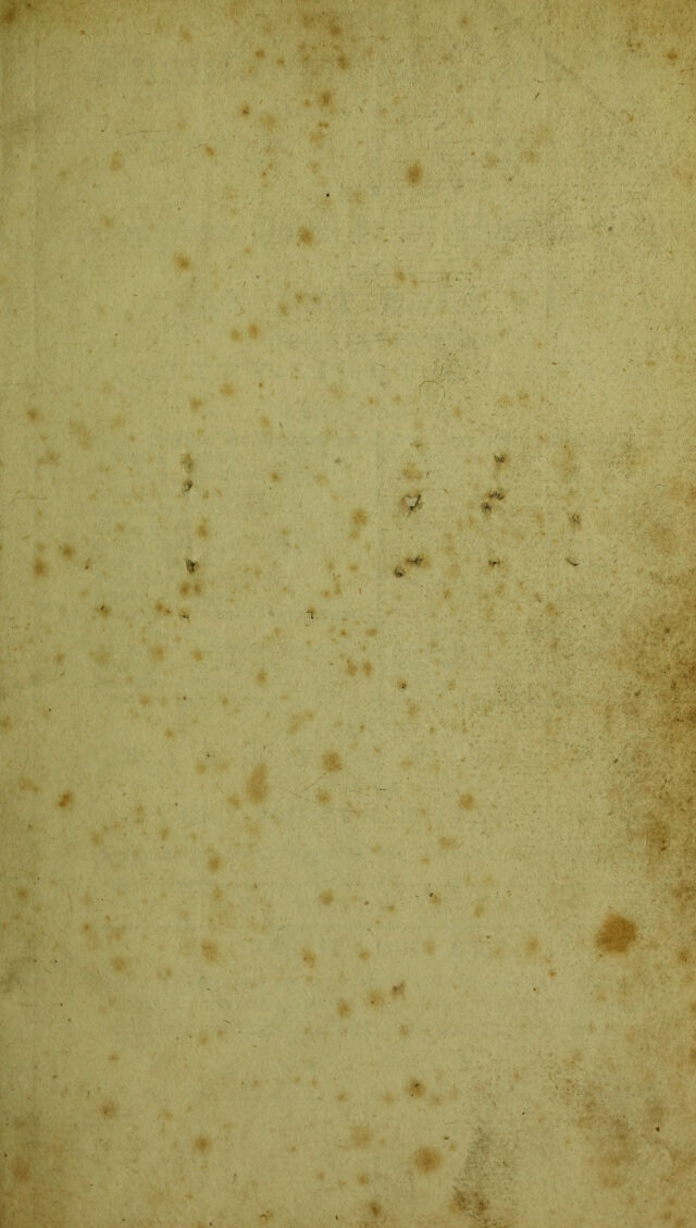 digitised image 3