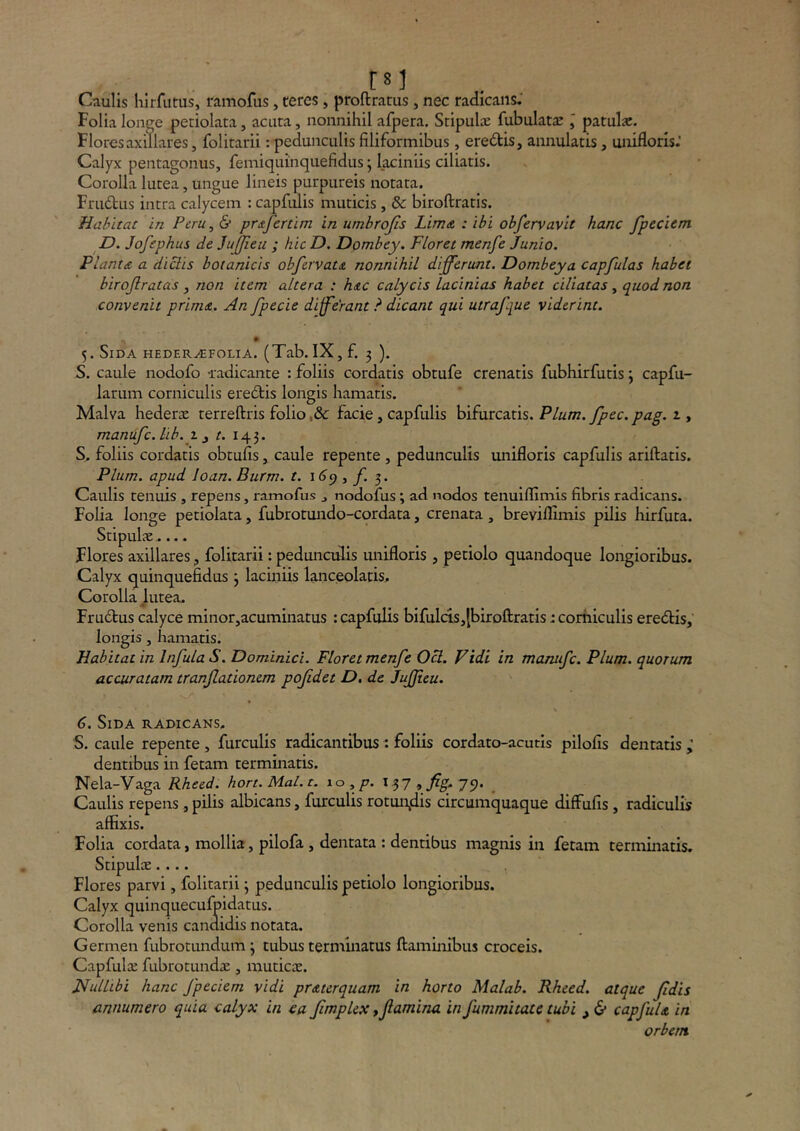 Folia longe periolata, acuta, nonnihil afpera. Stipulae fubulat^e l patulae. Flores axillares, folitarii: pedunculis filiformibus, ere£tis, aiinulatis, uiiiflorls.’ Calyx pentagonus, femiquinquefidus j laciniis ciliatis. Corolla lutea, ungue lineis purpureis notata. Frudtus intra calycem : capmlis muticis, & biroftratis. Habitat in Peru, & prdtfcrtim in umbrojis Lima : ibi obfervavit hanc fpeciem D. Jofephus de JuJJieii; hic D. Dombey. Floret menfe Junio. Piant £ a dictis botanicis obfervats, nonnihil differunt. Dombey a capfulas habet birojlratas, non item altera : hdc calycis lacinias habet ciliatas, quod non convenit primat. An fpecie differant ? dicant qui utrafque viderint. 9 5. Sida heder^folia. (Tab.lX,f. 3 ). S. caule nodofo -radicante : foliis cordatis obtufe crenatis fubhirfutis \ capfu- larum corniculis eredlis longis hamatis. Malva hederae terreftris folio ,& facie, capfulis bifurcatis. Pium. fpec. pag. 1, manufc. lib.y ^ t. S. foliis cordatis obtufis, caule repente, pedunculis unifloris capfulis ariftatis. Pium, apud loan. Burm. t. ■, f. Caulis tenuis , repens, ramofus , nodofus; ad nodos tenuidimis fibris radicans. Folia longe petiolata, fubrotundo-cordata, crenata, breviflimis pilis hirfuta. Stipulae.... Flores axillares, folitarii: pedunculis unifloris , petiolo quandoque longioribus. Calyx quinquefidus 3 laciniis lanceolatis. Corolla Jutea. Frudfus calyce minor,acuminatus : capfulis bifulds,{birDfl:ratis: corniculis eredis,’ longis, hamatis. Habitat in Infula S. Dominici. Floret menfe Ocl. Vidi in manifc. Pium, quorum accuratam tranfationem pofidet D, de Jufp.cu. 6. Sida radicans. S. caule repente , furculis radicantibus t foliis cordato-acutis pilofis dentatis dentibus in fetam terminatis. Nela-Vaga Rheed. hort.Mal.t. 10,/7. \ 9’ . Caulis repens, pilis albicans, furculis rotun,dis circumquaque diffufis, radiculis affixis. Folia cordata, mollia, pilofa , dentata : dentibus magnis in fetam terminatis. Stipulae.... Flores parvi, folitarii 3 pedunculis petiolo longioribus. Calyx quinquecufpidatus. Corolla venis candidis notata. Germen fubrotundum 3 tubus terminatus flaminibus croceis. Capfulie fubrotundae, muticae. Nullibi hanc fpeciem vidi praterquam in horto Malab. Rheed. atque fdis annumero quia calyx in ea fimplex tfamina in fummitatc tubi & capfuU in orbem