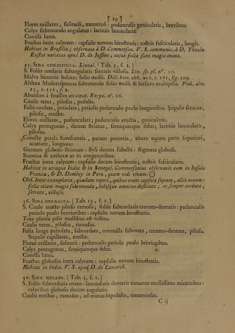 1^9] ' Flores axillares, folitarii, numerofi: pedunculis geniculatis, brevibus; Calyx fubrotundo angulatus : laciniis lanceolatis*. Corolla lutea. Frudlus intra calycem: capfulis novem biroftratis: roftris fafciculatis, longis. Habitat in BraJiUa i obfervata a D. Commerfon. S. communic, a D, Thouin. Exjiat varietas apud D. de JuJJieu , cujus folia funt magis ovata, 55. Sida cordifolia. Linn&i. ( Tab. 3 , f. 1.) S. Foliis cordatis fubangulatis ferratis villofis. Lin. fp.pl. n°. 10. Malva bicornis balotes folio molli. DHL hort. dth, i 11, r. 171 ^jig, 2.09. Althaea Maderafpatana fubrotundo folio molli & hirfuto multipilis. Pluk, alm. 15, r. 131 , f, 2. ^ Abutilon a feuilles en coeur. Encyc. n°. 16. Caulis teres, pilofus, pedalis. Folia cordata, petiolata 3 petiolis pedunculo paulo longioribus Stipulae fetacex, pilofe, ereft^E. '' Flores axillares , pedunculari; pedunculis eredis , geniculatis. Calyx pentagonus , decem ftriatus, femiquinque fidus 3 laciniis lanceolatis , pilonis. ^CorollcB petala flavefcentla , parum patentia, altera earum parte fuperiori, acutiore, longiore.* Germen globofo-ftriatum : ftyli decem fubalbi: ftigmata globofa. Stamina 8c antherrc ut in congeneribus. Frudus intra calycem: capfulis decem biroftratis \ roftris fafciculatis. Habitat in utraque India 6* in Senegal. Commerfonius obfervavit eam in Infula Francia, & D. Dombey in Peru , quam vidi vivam. O Obf. Inter exemplaria, quadam reperi ^ quibus erant capfula, feptem, aliis novem: folia etiam magis fubrotunda j lobifque omnino dejiituta ; at femper cordata , ferrata, villofa. 3 G. Sida herbacea. ( Tab. 13 , f. i.) S. Caule eredo pilofo ramofo \ foliis fubcordatis crenato-dentatis: pedunculis petiolo paulo brevioribus: capfulis novem biroftratis. Tota planta pilis mollibus eft veftita. Caulis teres , pilofus, ramofus. Folia longe petiolata , fubcordata, nonnulla fubovata , crenato-dentata, pilofa. Stipulx capillares, eredie. Flores axillares, folitarii: pedunculis petiolo paulo bfeviofibus. Calyx pentagonus, femiquinque fidus. • Corolla lutea. Frudus globofus intra calycem : capfulis novem biroftratis. Habitat in India. F. S. apud D. de Lamarck. 37. Sida micans. ( Tab. 3, f. i. ) . S. Foliis fubcordatis ovato - lanceolatis dentatis tomento molliflimo micantibus: calycibus globofis decem angulatis. Caulis eredus, ramofus, ad minus bipedalis , tomentofus. C ij