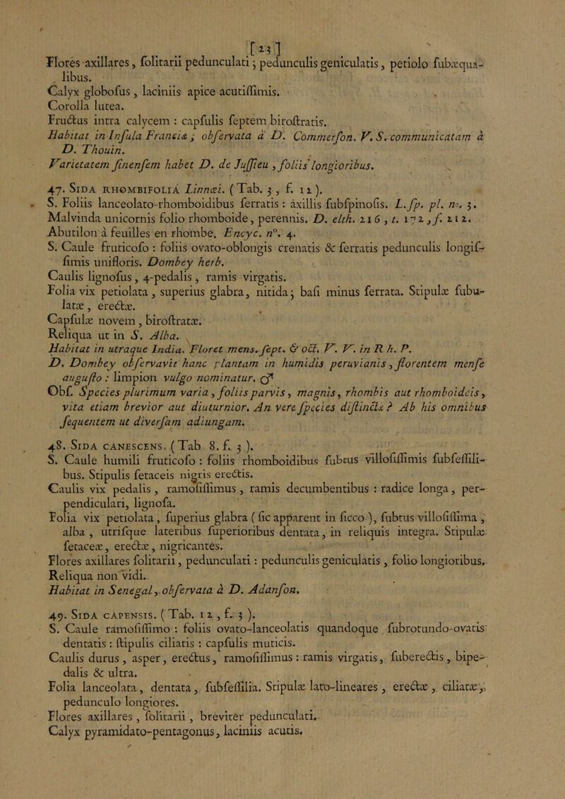 Flores axillares, {blitarii pedunculari • pedunculis geniculatis, petiolo fub.xqua^ libus. Calyx globofus , laciniis apice acutilllmis. Corolla lutea. Frudus intra calycem : capfulis feptem biroftratis. Habitat in Infula Franeis.; ohfervata a D. Commerfon. V. S,'communicatarn a D. Thouin. Varietatem ftnenfem habet D. de JuJJieu , foliis'longioribus, 47. Sida rhombifolia Linncei. (Tab. 3 , f. 11). S. Foliis lanceolato-rhomboidibus ferratis: axillis fubfpinofis. L.fp. pl. m. 5, Malvinda unicornis folio rhomboide, perennis. D. elth. zi 6 , 17z z i z. Abutilon a feuilles en rhombe. Encyc. n°. 4. S. Caule fruticofo : foliis ovato-oblongis crenatis & ferratis pedunculis longif- fimis iinifloris. Dombey herb. Caulis lignofus, 4-pedalis , ramis virgatis. Folia vix petiolata, superius glabra, nitida3 bafi minus ferrata. StipuliE fiibu^- latiE, eredtiE. Capfulx novem, biroftrataz. Reliqua ut in S, Alba. Habitat in utraque India. Floret mens.fept. & ocl. V. V~. in R h. P. D. Dombey obfervavit hanc plantam in humidis peruvianis ^ fiorentem menfe auguflo : limpion vulgo nominatur, Obf. Species plurimum varia ^ foliis parvis ^ magnis., rhombis aut rhomboideis y vita etiam brevior aut diuturnior. An vere fpecies difinclii b Ab his omnibus fequentem ut diverfarn adiungam, 48. Sida canescens. (Tab 8. f. 3 ). ' S. Caule humili fruticofo : foliis rhomboidibus fubcus vlllohflimis fubfeffili- bus. Stipulis fetaceis nigris erecStis. Caulis vix pedalis , ramofiffimus, ramis decumbentibus : radice longa, per- pendiculari, lignofa. Folia vix petiolata, fuperius glabra ( fic apparent in ficco ), fubtus villofillima , alba , utrifque lateribus fuperioribus dentata, in reliquis integra. Stipula: fetaceiE, eredic, nigricantes. Flores axillares folitarii, pedunculari: pedunculis geniculatis , folio longioribus, Reliqua non vidi. Habitat in Senegal y ohfervata a D. Adanfoa, 49. Sida capensis. ( Tab. i z , f. 3 ). S. Caule ramofiffimo ; foliis ovato-lanceolatis quandoque fubrotundo-ovaris dentatis; ftipulis ciliatis : capfulis muticis. Caulis durus , asper, eredus, ramolillimus: ramis virgatis, fuberedis, bipe> dalis & ultra. Folia lanceolata, dentata, fubfelfilia. Stipulx lato-lineares, eredac, ciliatae,', pedunculo longiores. Flores axillares , folitarii, breviter pedunculari. Calyx pyramidato-pentagonus, laciniis acutis.