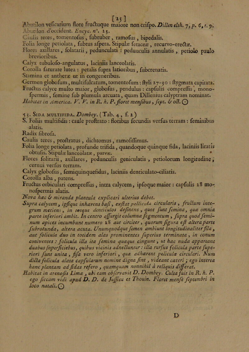 .Abutiloii vericariiim flore fruduque maiore mncni^o.Dlllenclth, 7,/7. C^t. Abuciion doccident. fncyc./2°. 15. CIulis teres, tomentofus, fubruber, ramofus , bipedalis. Folia longe petiolata, fiibtus afpera. Stipulae fetaceae, recurvo-eredae. Flores axillares, folatarii, pedunculari : peduuculis annularis, periolo paulo brevioribus. Calyx tubulofo-angularus , laciniis laiiceolaris. Corolla farurare lurea : peralis fupra larioribus, fiibcrenaris. Stamina et antherae ut in congeneribus. Germen globofum, multifulcatum, tomentofum: Ityli 2-7-30 : flygmata capitata.’ Fructus calyce multo maior, globofus, pendulus : capfulis compreflis * mono- fpermis , femine fub plumula arcuata, quam Dillenius calyptram nominat. Habuat in America. V. V. in R. h. P. floret menflbus, fept. & oB. 0 5 3. Sida multifida. Dombey. (Tab. 4, f. i ) S. Foliis multifidis: caule proftrato : floribus fecundis verfus terram: feminibus alatis. Kadix fibrofa. Caulis teres, proftratus , dichtomus, ramofiflimus. Folia longe petiolata, profunde trifida, quandoque quinque fida, laciniis liratis obtufis. Stipulee lanceolatae , parva;. • Flores folitani, axillares, pedunculis geniculatis , petiolorum longitudine,' cernui verfus terram. Calyx globofus, femiquinquefidus, laciniis denticulato-ciliatis. Corolla alba, patens. Frudus orbiculari comprelTus , intra calycem, ipfoquemaior : capfulis mo- nofpermis alatis. 27ova hcec & miranda plantula explicari ulterius debet. Supra calycem y ipflque inheerens bafl, exfiat pellicula circularis , fructum inte- grum metiens y in tetque denticulos deflnens , quot funt femina y quee omnia pane inferiori ambit. In centro affurgit columnce fegmentum, fupra quod femi- num apices incumbunt numero 18 aut circiter y quorum figura efl alteraparte fubrotunday altera acuta. Unumquodque femen ambiunt longitudinaliterfila ^ aut folicula duo in totidem alas prominentes fuperius terminata , in conum coniventes : foUcula illa ita femina quaque cingunt, ut hcec nuda appareant duabus fnperficiebusy quibus vicinis adnecluntur: illa rurfus folicula parte fupe- riori funt unita , fifa vero inferiori, qua adheerent peliculce circulari. Nurn dicta folicula alata capfularum nomine digna fint , videant cceteri; ego interea hanc plantam ad fidas refero , quamquam nonnihil d reliquis differat. Habitat in arenofis Limce , ubi eam obfervavit D. Dombey. Culta fuit in R. h. P. ego ficcam vidi apud D. D. de Jufjieu et Thouin. Floret menfe feptetnbri in Loco natali, Q D