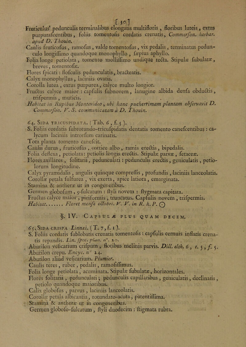 Fruticiilus’ pedunculis terminalibus elongatis multifloris , floribus luteis, extus purpurafcendbus, foliis tomentofls cordatis crenatis, Commcrfon. htrbar. apud D. Thouin. Caulis fruricofus, ramofus, valde tomentofus, vix pedalis, terminatus pedun- culo longifllmo quandoque monophyllo , fsepius aphyllo. Folia longe petiolaca, tomento molliflimo midique teiSta. Stipulce Tubulatae, breves, tomenrofa;. Flores fpicari; flofculis peduncularis, bradteatis. Calyx monophyllus , laciniis ovatis. Corolla lutea , extus purpurea, calyce multo longior. Frudlus calyce maior : capfulis fubnovem, lanugine albida denfa obdu6tis, trifpermis, muticis. Habitat in Rupibus Montcvideo , ubi hanc puchertimam plantam obfervavit D. Conimcrfon. H.S. communicatam a D. Thouin. <?4. Sida tricuspidata. (Tab. ^, f. 5 ). S. Foliis cordatis fubrotundo-tricufpidatis dentatis tomento canefcentibus: ca- lycum laciniis introrfum carinatis. Tota planta tomento canefcit. Caulis durus , ftuticofus , cortice albo , ramis eredtis, bipedalis. Folia deflexa, petiolata: petiolis longis ere6tis. Stipulie parvae , fetacese. Flores,axillares , folitarii, pedunculari: pedunculis eredis, geniculatis , petio- lorum longitudine. Calyx pyramidalis, angulis quinque compreflis , profundis ,-laciniis lanceolatis. Corollae petala fulfurea , vix exerta, apice latiora, emarginata. Stamina & anthene ut in congeneribus. Germen globofum , 9-fulcatum : ftyli novem : ftygmata capitata. Frudus calyce maior, piriformis , truncatus. Capmlis novem , trifpermis. Habitat Floret menfe oBobri. V. V. in R. h. P. Q §. IV. Cap’sul.<£ plus quam decem. (j^.SiDA CRISPA LinnFi. (T. 7,f. i ). S. Foliis cordatis fublobatis crenatis tomentofis: capfulis cernuis inflatis crena- tis repandis. Lin. fptc. plun. n°. 7.0. ^ Abutilon veficarium crifpum ,■ floribus melinis parvis. Dill. elth, 6 ^ 5 5 /• 5- Abutilon crepu. Encyc. /2'^ 14. Abutilon aliud Veficarium. Plumier. Caulis teres , ruber , pedalis, ramofiflimus. Folia longe petiolata, acuminata. Stipulx fubulatae, horizontales. Flores folitarii, pedunculari \ pedunculis capillaribus, geniculatis, declinatis, petiolo quandoque maioribus. Calix globofus , parvus, laciniis lanceolatis. CorollcE petala albicantia, rotundato-acuta, patentillima. Stamina & antherjc ut in congeneribus. Germen globofo-fulcatum , ftyli duodecim : ftigmata rubra.