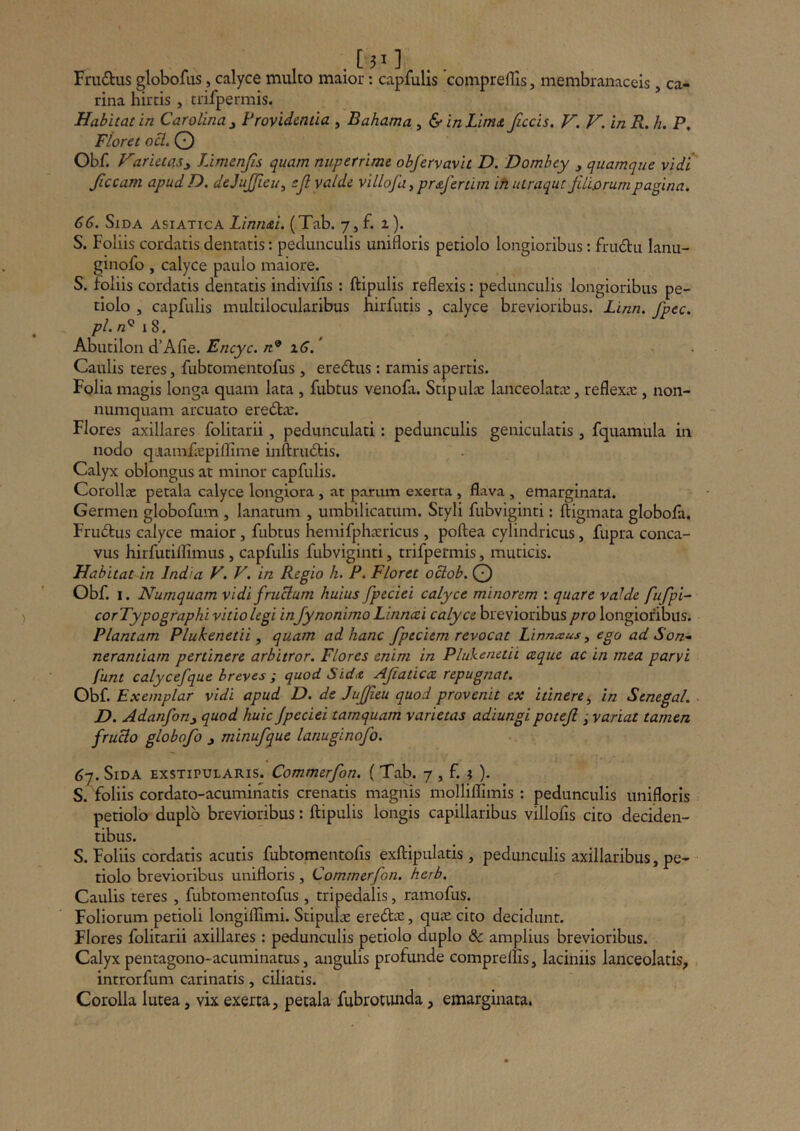 Fru£tus globofiis, calyce multo maior: capfulis compreffis, membranaceis, ca- rina hirtis , trifpermis. Habitat in Carolina y Frovidcntia , Bahama ^ &inLim<t Jiccis. V. V. inR.h. P, Floret ocl, O Obf. Harietasy Limenjis quam nuperrime obfervavit D. Dombey y quamque vidi ficcam apudD. dejujjieu^ :Jl valde villofa^ proferam ihutraqut filiorum pagina. 66. Sida asiatica Linndi. (Tab. 7, f. 2). S. Foliis cordatis dentatis; pedunculis unilloris petiolo longioribus: frudlu lanu- ginofo , calyce paulo maiore. S. foliis cordatis dentatis indivifis : ftipulis reflexis: pedunculis longioribus pe- tiolo , capfulis multilocularibus hirfutis , calyce brevioribus. Linn. fipec. pl. n'^ \ %. Abutilon d’Afle. /I® 2^. * Caulis teres, fubtomentofus, eredus: ramis apertis. Folia magis longa quam lata , fubtus venofa. Stipulce lanceolatx, reflexae , non- numquam arcuato eredbae. Flores axillares folitarii, pedunculari: pedunculis geniculatis, fquamula in nodo quamfiepiflime inftrudtis. Calyx oblongus at minor capfulis. Corollce petala calyce longiora , at parum exerta, flava , emarginata. Germen globofum , lanarum , umbilicatum. Styli fubviginti: ftigmata globofa. Fru£tus calyce maior, fubtus hemifphcxricus , poftea cylindricus, fupra conca- vus hirfutillimus , capfulis fubviginti, trifpermis, muticis. Habitat in India V. V. in Regio h. P. Floret oclob. Q Obf. I. Numquam vidi fructum huius fpeciei calyce minorem : quare valde fufpi^ corTypographivitio legi inJynonimo Linncei calyce brevioribus pro longioribus. Plantam Plukenetii , quam ad hanc fipeciem revocat Linnaus, ego ad Son- nerantiam pertinere arbitror. Flores enim in Plukenetii czque ac in mea parvi funt calycefque breves f quod Sidit Afiaticce repugnat. Obf. Exemplar vidi apud D. de Jujfieu quod provenit ex itinere:^ in Senegal. D. Adanfony quod huic fpeciei tamquam varietas adiungi potefi j variat tamen fruclo globofio y minufque lanuginofo. 6-j. Sida exstipularis. Commerfon. { Tab. 7 , f. ? )• S. foliis cordato-acuminacis crenatis magnis molliflimis : pedunculis unifloris petiolo duplo brevioribus: ftipulis longis capillaribus villofis cito deciden- tibus. S. Foliis cordatis acutis fubtomentofis exftipulatis , pedunculis axillaribus, pe- tiolo brevioribus unifloris , Commerfon. herb. Caulis teres , fubtomentofus , tripedalis, ramofus. Foliorum petioli longilTimi. Stipuix ered^e, qux cito decidunt. Flores folitarii axillares : pedunculis petiolo duplo & amplius brevioribus. Calyx pentagono-acuminatus, angulis profunde compreffis, laciniis lanceolatis, introrfum carinatis, ciliatis. Corolla lutea, vix exerta, petala fubrotunda, emarginata.