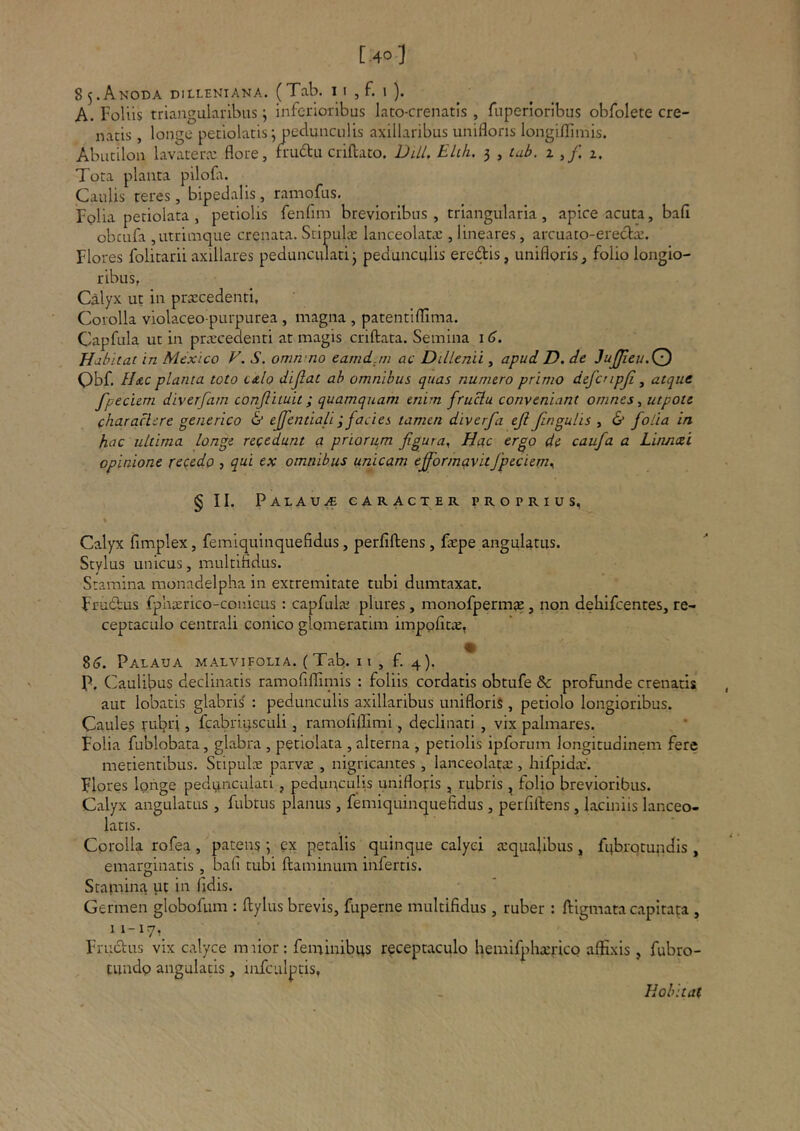 [.40] 8 5. AnODA DILLENIANA. ( Tab. I I , f. I ). A. Foliis triangularibus ^ inferioribus lato-crenatis , fuperioribus obfolete cre- natis, longe petiolatis; pedunculis axillaribus uniflons longiflimis. Abucilon lavatera; flore, frudtu criftato. Ddl. ELih. 3 , lab. 2 ,/ 2. Tota planta pilofli. Caulis teres, bipedalis, ramofus. Fplia periolata, petiolis fenfim brevioribus, triangularia, apice acuta, bafi obcufa ,utrimque crenata. Stipula: lanceolata:, lineares, arcuato-erecta:. Flores folitarii axillares peduncularij pedunculis eredis, unifloris, folio longio- ribus, Calyx ut in pra:cedenti. Corolla violaceo-purpurea , magna , patentiflima. Capfula ut in pra:ceaenti at magis criftata. Semina \6. Habitat in Mcxico V. S. omn no eamd.rn ac Dillenii, apud D. de JuJJieu.Q Qbf. Hac planta toto caIo dijlat ab omnibus quas numero primo defcupji, atque fpeciem diverfam conjlituit; quamquam enim ffuB.u conveniant omnes utpote charactere generico & ejfentiali; facies tamen diverfa ejl finguUs , & folia in hac ultima longe recedunt a priorum figura^ Hac ergo de caufa a Linnaei opinione recedo , qui ex omnibus unicam efformavitfpeciem^ § II. Palau^ caracter proprius, Calyx fimplex, femiquinquefidus, perfiftens , ftepe angulatus. Stylus unicus, multifidus. Stamina monadelpha in extremitate tubi dumtaxat. Frudus fphterico-conicLis : capfula: plures , monofperma?, non dehifcentes, re- ceptaculo centrali conico glomeratim impofitie, 8<j. Palaua malvifolia. (Tab. n , f. 4). P. Caulibus declinatis ramofiflimis : foliis cordatis obtufe & profunde crenatis aut lobacis glabris' : pedunculis axillaribus unifloris , petiolo longioribus. Caules rubri, fcabriusculi, ramofilFimi, declinati , vix palmares. Folia fublobata, glabra , petiolata , alterna , petiolis ipforum longitudinem fere metientibus. Stipulx parva: , nigricantes , lanceolata:, hifpida:'. Flores iQrige pedunculati, peduuculis unifloris , rubris, folio brevioribus. Calyx angulatus , fubtus planus , femiquinquefidus , perfiftens, laciniis lanceo- latis. Corolla rofea, patens ; px petalis quinque calyci a:qualibus, fuhrqtundis , emarginatis , bafi tubi ftaminum infertis. Stamina ut in fidis. Germen globofum : ftylus brevis, fuperne multifidus , ruber : ftigmata capitata , 11-17, Frudus vix calyce imior: feminibus receptaculo hemlfpba:rico affixis , fubro- tundp angulatis, infculptis, Habitat
