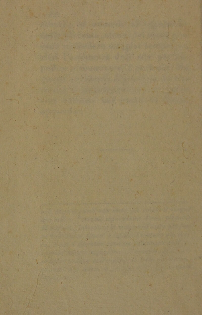 V * * ( ■ . i ) \ t é / / ->