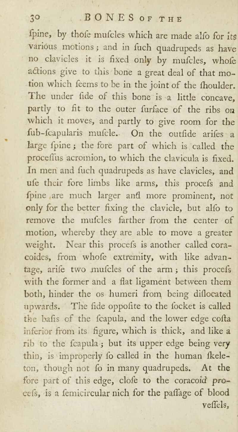 (pine, by thofe mufcles which are made alfo for its various motions; and in fuch quadrupeds as have no clavicles it is fixed only by mufcles, whole adions give to this bone a great deal of that mo- tion which feems to be in the joint of the Ihoulder. The under fide of this bone is a little concave, partly to fit to the outer furface of the ribs on which it moves, and partly to give room for the fub-fcapularis mufcle. On the outfide arifes a large fpine; the fore part of which is called the procefius acromion, to which the clavicula is fixed. In men and fuch quadrupeds as have clavicles, and ufe their fore limbs like arms, this procefs and fpine are much larger and more prominent, not only for the better fixing the clavicle, but alfo to remove the mufcles farther from the center of motion, whereby they are able to move a greater weight. Near this procefs is another called cora- coides, from whofe extremity, with like advan- tage, arife twx> mufcles of the arm ; this procefs with the former and a flat ligament between them both, hinder the os humeri from being diflocated upwards. The fide oppofite to the locket is called the bafis of the fcapula, and the lower edge cofta inferior from its figure, which is thick, and like a rib to the fcapula; but its upper edge being very thin, is improperly fo called in the human Ikele- ton, though not fo in many quadrupeds. At the fore part of this edge, clofe to the coracoid pro- cefs, is a femicircular nich for the paflage of blood veflels.