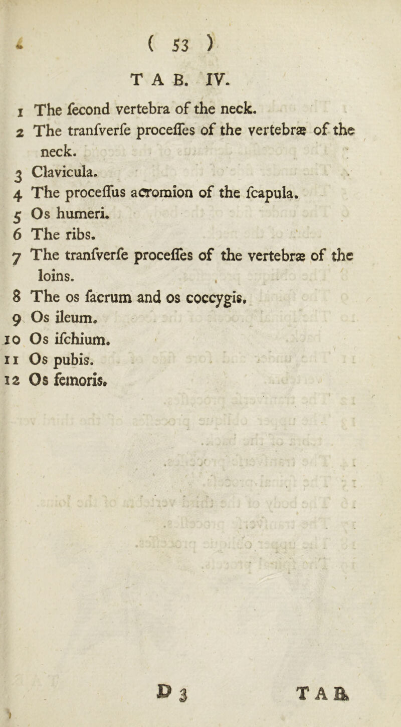 1 The fecond vertebra of the neck. 2 The tranfverfe precedes of the vertebras of the neck. 3 Clavicula. 4 The procelfus acromion of the fcapula. 5 Os humeri. 6 The ribs. 7 The tranfverfe precedes of the vertebras of the loins. 8 The os facrum and os coccygis. 9 Os ileum. 10 Os ifchium. 11 Os pubis. 12 Os femoris. v