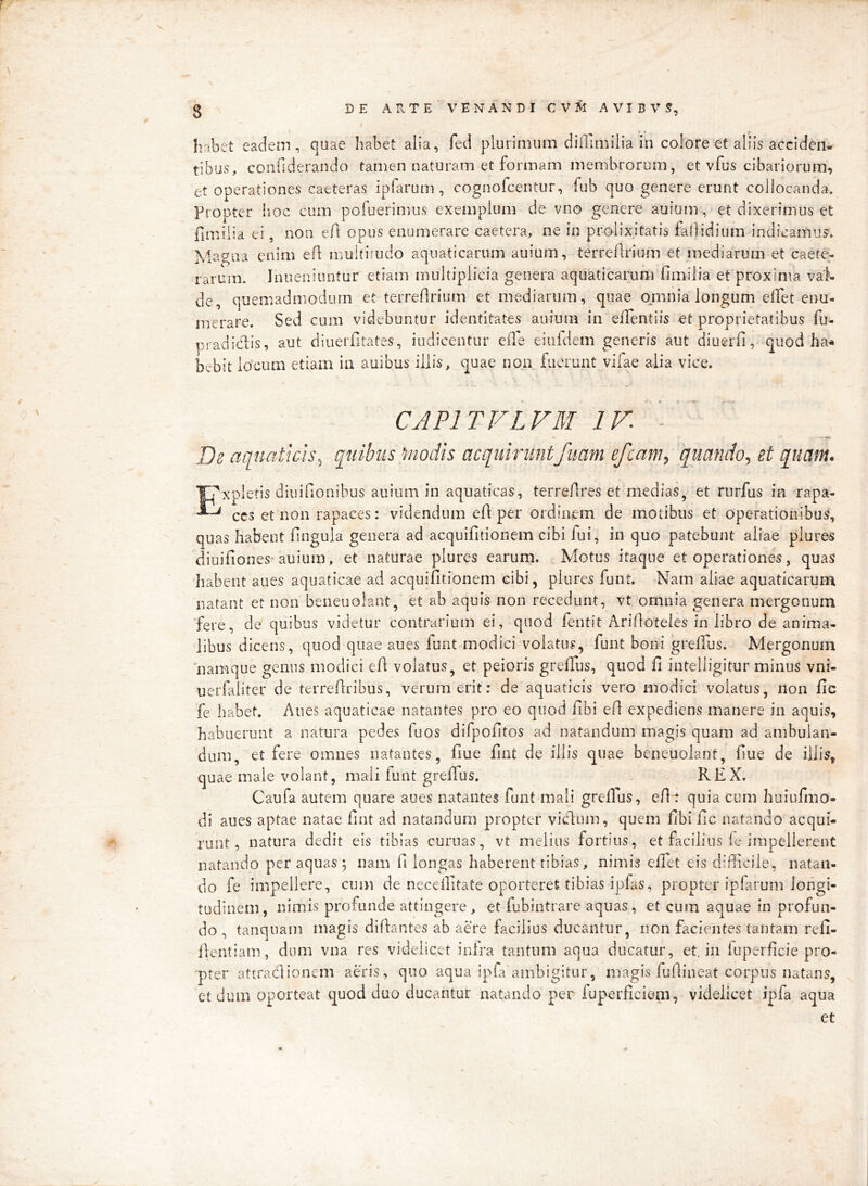 > 8 DE A RTE V ENANDI CV:^ AVIBVS, habet eadem, quae habet alia, fed plurimum diilimilia in colore et aliis acciden- tibus, coiifiderando tamen naturam et formam membrorum, et vfus cibariorum, et operationes caeteras ipfarum , cognofcentur, fub quo genere erunt collocanda. Propter hoc cum pofuerimus exemplum de vno genere auium , et dixerimus et fimilia ei, non e/l opus enumerare caetera, ne in prolixitatis fadidium indicamus. M^^gua enim efl multirudo aquaticarum auium, terreflrium et mediarum et caete- rarum. Iniieniuntur etiam multiplicia genera aquaticarum fimilia et proxima val- de, quemadmodum et terreflriiim et mediarum, quae ojiinia longum effet enu- merare. Sed cum videbuntur identitates auium in efTent i is et proprietatibus fu- pradidis, aut diuerfitates, indicentur elle eiiiidem generis aut diuerfi, quod ha- bebit io’cum etiam ia auibus iliis, quae non fuerunt viiae alia vice. CAPITVLVM - • De aquaticis^ quibus Enodis acquirunt fiiani efcam, quando, et quam. 'pxpletis diuifionibus auium in aquaticas, terreflres et medias, et rurfus in rapa- ^ CCS et non rapaces: videndum efl per ordinem de motibus et operationibus, ^ quas habent fingula genera ad acquifitionem cibi lui, in quo patebunt aliae plure^ diuifiones-auium, et naturae plures earum. Motus itaque et operationes, quas liabent aues aquaticae ad acquifitionem cibi, plures funt. Nam aliae aquaticarum natant et non beneuolant, et ab aquis non recedunt, vt omnia genera mergonum fere, de quibus videtur contrarium ei, quod fentit Arifioteies in libro de anima- libus dicens, quod quae aues funt modici volatus, funt boni grefius. Mergonum 'namque genus modici efi volatus, et peioris grefiiis, quod fi intelligitur minus vni- uerfaliter de terrefirlbus, verum erit: de aquaticis vero modici volatus, non fic fe habet. Aues aquaticae natantes pro eo quod fibi efi expediens manere in aquis, habuerunt a natura pedes fu os difpofitos ad natandum magis quam ad ambulan- dum, et fere omnes natantes, fiue fint de illis quae beneuolant, fiue de illis, quae male volant, mali funt grefius. REX. Caufa autem quare aues natantes funt mali grefius, efit quia cum huiufmo- di aues aptae natae fint ad natandum propter vicfium, quem fibi fic natando acqui- runt, natura dedit eis tibias curuas, vt melius fortius, et facilius ie impellerent natando per aquas 5 nam 11 longas haberent tibias, nimis efiet eis difficile, natan- do fe impellere, cum de necellitate oporteret tibias ipfas, propter ipfarum longi- tudinem, nimis profunde attingere , et fubintrare aquas, et cum aquae in profun- do , tanquam magis difiantes ab aere facilius ducantur, non facientes tantam refi- llentiam, dum vna res videlicet inlra tantum aqua ducatur, etjn fuperficie pro- pter attradionem aeris, quo aqua ipfa ambigitur, magis fufiineat corpus natans, et dum oporteat quod duo ducantur natando per fuperficioni, videlicet ipfa aqua et