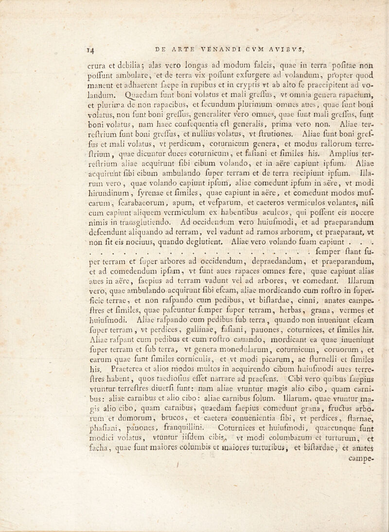 crura et debilia; alas vero longas ad modum falcis, quae in terra pofitae non pofTunt ambulare, ‘et de terra vix poiTunt exfurgere ad volandum, propter quod manent et adhaerent faepe in rupibus et in cryptis vt ab alto fe praecipitent ad vo- landum. Quaedam iunt boni volatus et mali gredus, vt omnia genera rapacium, ' et plurima de non rapacibus, et fecundum plurimum omnes aues, quae iunt boni volatus, non funt boni grelTus, generaliter vero omnes, quae funt mali greffas, funt boni volatus, nam haec confequentia ed generalis, prima vero non. Aliae ter- redrium funt boni greilus, et nullius volatus, vt drutiones. Aliae funt boni gref- fus et mali volatus, vt perdicum, coturnicum genera, et modus rallorum terre- drium, quae dicuntur duces coturnicum, et fadani et fimiies his. i\mplius ter- redrium aliae acquirunt fibi cibum volando, et in aere capiunt ipfum. Aliae acquirunt dbi cibum ambulando fuper terram et de terra recipiunt ipfum. Ilia- rum vero , quae volando capiunt ipfum, aliae comedunt ipfum in aere, vt modi hirundinum, fyrenae et fimiies, quae capiunt in aere, et comedunt modos muf- carum, fcarabaeorum, apum, et vefparum, et caeteros vermiculos volantes, nid cum capiunt aliquem vermiculum ex habentibus aculeos, qui poffent eis nocere nimis in transglutiendo. Ad occidendum vero Imiufmodi, et ad praeparandum defcendunt aliquando ad terram, vel vadunt ad ramos arborum, et praeparant, vt non fit eis nociuus, quando deglutient. Aliae vero volando fuam capiunt . . . . femper dant fu- per terram et fuper arbores ad occidendum, depraedandum, et praeparandum, et ad comedendum ipfam, vt funt aues rapaces omnes fere, quae capiunt alias auesinaere, faepius ad terram vadunt vel ad arbores, vt comedant. Illarum vero, quae ambulando acquirunt fibi efcam, aliae mordicando cum rodro in fuper- ficie terrae, et non rafpando cum pedibus, vt bidardae, cinni, anates campe- ' dres et fimiies, quae pafcuntur femper fuper terram, herbas, grana, vermes et huiufmodi. Aliae rafpando cum pedibus fub terra, quando non inueniunt efcam fuper terram , vt perdices, gallinae, fafiani, pauones, coturnices, et fimiies his. Aliae rafpant cum pedibus et cum rodro cauando, mordicant ea quae inueniunt fuper terram et fub terra, vt genera monedularum, coturnicum, cornorum, et earum quae funt fimiies corniculis, et vt modi picarum, ac fiurnelli et fimiies his. Praeterea et alios rriodos multos in acquirendo cibum haiufmodi aues terre- dres habent, quos taediofius edet narrare ad piaefens. Cibi vero quibus faepius vtuntur terredres diuerfi funt: nam aliae vtuntur magis alio cibo, quam carni- bus: aliae carnibus et alio cibo; aliae carnibus folum. Iliarum, quae vtuntur ma- gis alio cibo, quam carnibus, quaedam faepius comedunt grana, frucdus arbo- rum et dumorum, brucos, et caetera conuenientia fibi, vt perdices, darnae, phaflani, pauones, franquillrni. Coturnices et huiufmodi, quaecunque funt modici volatus, vtuntur iifdcm cibis^, vt modi columbarum et turturum, et facha, quae funt maiores columbis et maiores turtuiibus, et bidardae, et anates campe-