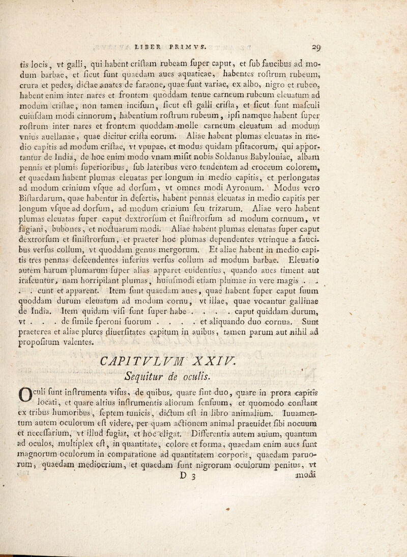 tis locis’, vt galli, qui habent criham rubeam fuper caput, et fub faucibus ad mo- dum barbae, et ficut funt quaedam aues aquaticae, habentes rofirum rubeum, crura et pedes, didae anates de faraone, quae funt variae, ex albo, nigro et rubeo, habent enim inter nares et frontem quoddam tenue carneum rubeum eleuatum ad modum crifae, non tamen incifum, ficut efl: galli crifla, et llcut funt mafculi cuiufdam modi cimiorum, habentium rofirum rubeum , ipfi namque habent fuper rofirum inter nares et frontem quoddam .meile carneum eleuatum ad modui^ii vnius auellanae, quae dicitur crifla eorum. Aliae habent plumas eleuatas in me- dio capitis ad modum criflae, vt vpupae, et modus quidam pfltacorum, qui appor- tantur de India, de hoc enim modo vnam mifit nobis Soldanus Babyloniae, albam pennis et plumis fuperioribus, fub lateribus vero tendentem ad croceum colorem, et quaedam habent plumas eleuatas per longum in medio capitis, et perlongatas ad modum crinium vfque ad dorfum, vt omnes modi Ayronum. Modus vero Biflardarum, quae habentur in defertis, habent pennas eleuatas in medio capitis per longum vfque ad dorfum, ad modum crinium feii trizarum. Aliae vero habent plumas eleuatas fuper caput dextrorfum et finiflrorfum ad modum cornuum, vt fagiani, bubones, et noduaruni modi. Aliae habent plumas eleuatas fuper caput dextrorfum et finiflrorfum, et praeter hoc plumas dependentes vtrinque a fauci- bus verfus colium, vt quoddam genus mergorum. Et aliae habent in medio capi- tis tres pennas defeendentes inferius verfus collum ad modum barbae. Eleuatio autem harum plumarum fuper alias apparet euidentius, quando aues timent aut irafeuntur, nam horripilant plumas, huinfmodi etiam plumae in vere magis . . . eunt et apparent. Item funt quaedam aues, quae habent fuper caput fuura quoddam durum eleuatum ad modum cornu, vt illae, quae vocantur gallinae de India. Item quidam vifi funt fuper habe .... caput quiddam durum, vt . . .de fimile fperoni fuorum .... et aliquando duo oornua. Sunt praeterea et aliae plures diuerfltates capitum in auibus, tamen parum aut nihil ad propofitum valentes. CAPITVLVM XXIV. ' ' Sequitur de oculis. /^culi funt inflrumenta vifus, de quibus, quare fint duo, quare in prora eapifis locati, et quare altius inflrumentis aliorum fenfuum, et quomodo conflant ex tribus humoribus , feptem tunicis, dldum.efl in libro animalium. luuamen- tum autem oculorum efl videre, per quam adlionem animal praeuidet fibi nocuunai et neeeffarium, vt illud fugiat, et hoc'eligat. Differentia autem auium, quantum ad oculos, multiplex eA, in quantitate , colore et forma , quaedam enim aues funt magnorum oculorum in comparatione ad quantitatem corporis, quaedam paruo rum, quaedam mediocrium, et quaedam funt nigrorum ocui.orum penitus, vt D 3