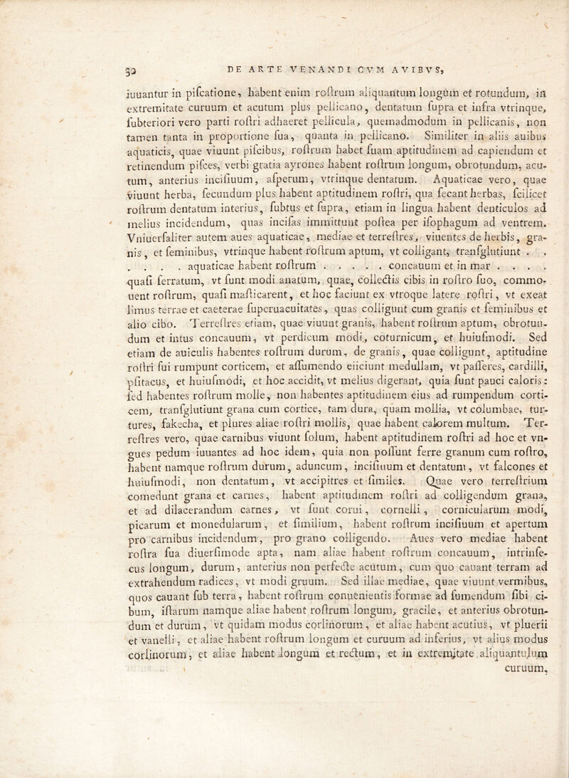 / \ \ f 33 D E A R T E V E N A N D I C V M A V I B V S, iuuaiitur in pifcatione, habent enim rodruin aliquantum longum et rotundum, iil extremitate curuum et acutum pius pellicano, dentatum fupra et infra vtrinque, fubteriori vero parti roflri adhaeret pellicula, quemadmodum in peilicanis, non tamen tanta in proportione fua, quanta in pellicano. Similiter in aliis auibus aquaticis, quae viuunt pifcibus, rodrum habet fuam aptitudinem ad capiendum et retinendum pifces, verbi gratia ayrones habent rodrum longum, obrotundum, acu- tum, anterius inciduum, afperum, vtrinque dentatum. Aquaticae vero, quae viuunt herba, fecundum plus habent aptitudinem rodri, qua fecant herbas, fciiicet rodrum dentatum interius, fubtus etdapra, etiam in lingua habent denticulos ad ' melius incidendum, quas incifas immittunt podea per ifophagum ad ventrem. Vniuerfaiiter autem aues aquaticae a mediae et terredres, viuentes de herbis, gra- nis , et feminibus, vtrinque habent rodrum aptum, vt colligant, tranfglutiunt . . . . . aquaticae habent rodrum coiicauum et in mar .... quad ferratum, vt funt modi anatum, quae, colledis cibis in rodro fuo, commo- nent rodrum, quad madicarent, et hoc faciunt ex vtroque latere rodri, vt exeat limus terrae et caeterae fuperuacuitates, quas colligunt cum granis et feminibus et alio cibo. Terredres etiam, quae viuunt granis, habent rodrum aptum, obrotuii- dum et intus concauum, vt perdicum modi., coturnicum, et huiufmodi. Sed etiam de auicuiis habentes rodrum durum, de granis, quae colligunt, aptitudine rodri fui rumpunt corticem, et alTumendo eiiciunt medullam, vt palTeres, cardiili, pfitacus, et huiufmodi, et hoc accidit, vt melius digerant, quia funt pauci caloris: ied habentes rodrum molle, non habentes aptitudinem eius ad rumpendum corti- cem, tranfglutiunt grana cum cortice, tam dura, quam mollia, vt columbae, tur- tures, fakecha, et piures aliae rodri mollis, quae habent calorem multum. Ter- redres vero, quae carnibus viuunt folum, habent aptitudinem rodri ad hoc et vn- gues pedum iuuantes ad hoc idem, quia non poliunt ferre granum cum rodro, habent namque rodrum durum, aduncum, inciluium et dentatum , vt falcones et huiufmodi, non dentatum, vt accipitres et fimiles. Quae vero terredrium comedunt gfana et carnes, habent aptitudinem rodri ad colligendum grana, et ad dilacerandum carnes, vt funt corui, cornelli, cornicularum modi, picarum et monedularum, et fimilium, habent rodrum inciduum et apertum pro carnibus incidendum, pro grano colligendo. Aues vero mediae habent rodra fua diuerdmode apta, nam aliae habent rodrum concauum, intrinfe- cus longum, durum, anterius non perfeifle acutum, cum quo canant terram ad extrahendum radices, vt modi gruum. Sed illae mediae, quae viuunt vermibus, quos cauant fub terra, habent rodrum conuenientis formae ad fumendum dbi ci- bum, idarum namque aliae habent rodrum longum, gracile, et anterius obrotun- dum et duriim, vt quidam modus corlinorum, et aliae habent acutius, vt pluerii 'et vanelli, et aliae habent rodrum longum et curuum ad inferius, vt alius modus corlinorum, et aliae habent iongum et reclum, et in extren^tate aliquantulum curuum.