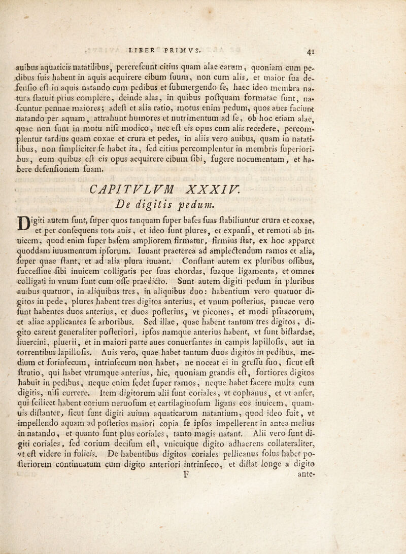 auibus aquaticis natatilibus, pcrcrefcunt citius quam alae earain , quoniam cum pe- ,dibus fuis habentia aquis acquirere cibum fuum, non cum alis, et maior fua de- fenfio eA in aquis natando cum pedibus et fubmergendo fe, haec ideo membra na- tura Aatuit prius complere, deinde alas, in quibus poAquam formatae funt, na- -fcuntur pennae maiores 5 adeA et alia ratio, motus enim pedum, quos aues faciunt natando per aquam, attrahunt humores et nutrimentum ad fe, ob hoc etiam alae, quae non funt in motu niA modico, nec e A eis opus cum alis recedere, percom- pientur tardius quam coxae et crura et pedes, in aliis vero auibus, quam in natati- libus, non Ampliciter fe habet ita, fed citius percomplentur in membris fuperiori- l)us, eum quibus eA eis opus acquirere cibum Abi, fugere nocumentum, et ha- <bere defenAonem fuam. ‘ CAPITVLVM XXXir. \ De digitis pedum. T^igiti autem funt, fiiper quos tanquam fuper bafes fuas Aabiliuntur crura et coxae, et per confequens tota auis , et ideo funt plures, et expanA, et remoti ab in- uicem, quod enim fuper bafem ampliorem Armatur, Annius Aat, cx hoc apparet quoddam iuuamentum ipforum. luuant praeterea ad ampIetAendum ramos et alia, fuper quae Aant, et ad alia plura iuuant. ConAant autem ex pluribus oAibus, fucceAlue Abi inuicem colligatis per fuas chordas, fuaque ligamenta, et omnes colligati in vnum funt cum oAe praedidlo. Sunt autem digiti pedum in pluribus -aujbus quatuor, in aliquibus tres, in aliquibus duo: habentium vero quatuor di- gitos in pede, plures habent tres digitos anterius, et vnum poAerius, paucae vero funt habentes duos anterius, et duos poAerius, vt picones, et modi pAtacorum, et aliae applicantes fe arboribus. Sed illae, quae habent tantum tres digitos, di- gito carent generaliter po Aeriori, ipfos namque anterius habent, vt funt biAardac, iiuercini, pluerii, et in maiori parte aues conuerfantes in campis lapilloAs, aut in •torrentibus lapilloAs. Auis vero, quae habet tantum duos digitos in pedibus, me- dium et forinfecum, intrinfecum non habet, ne noceat ei in greAu fuo, Acut eA f Arutio, qui habet vtrumque anterius, hic, quoniam grandis eA, fortiores digitos habuit in pedibus, neque enim fedet fuper ramos, neque habet facere multa cum digitis, niA currere. Item digitorum alii funt coriales, vt cophanus, et vt anfer, qui fcilicet habent corium iieruofum et cartilaginofum ligans eos inuicem, quam- uis diAanter, Acut funt digiti auium aquaticarum natantium, quod ideo fuit, vt •impellendo aquam ad poAerius maiori copia fe ipfos impellerent in antea melius -in natando^ et quanto funt plus coriales, tanto magis natant. Alii vero funt di- giti coriales, fed corium decifum eA, vnicuique digito adhaerens collateraliter, vt eA videre in fulicis. De habentibus digitos coriales peliicanus folus habet po- Aeriorem continuatum cum digito anteriori intrinfeco, et di Aat longe a digito F ante- ^