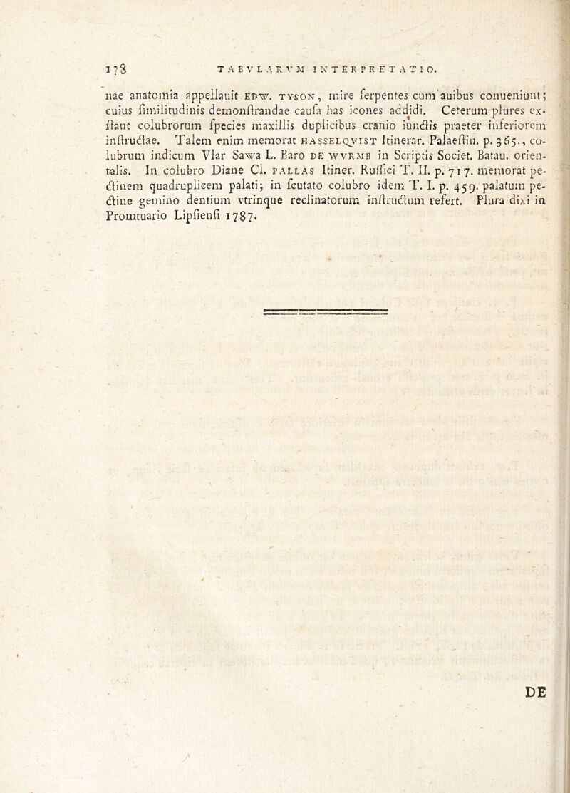 nae anatomia appeilauit edw. tyson, mire ferpentes cuni auibus conueniunt; cuius fimilitudinis deriionflraiidae caufa has icones addjdi. Ceterum plures ex* jfiant colubrorum fpecies maxillis duplicibus cranio iundis praeter inferiorem indrudae. Talem enim memorat HAssELQjkasT Itinerar. Palaeflin. p. 365., co- lubrum indicum Vlar Sawa L. Baro de wvrmb in Scriptis Societ. Batau. orien- talis. In colubro Diane Cl. pallas Itiner. Ruflici T. II. p. 717. memorat pe- dinem quadruplicem palati 5 in fcutato colubro idem T. I. p. 459. palatum pe- dine gemino dentium vtrinque reclinatorum iiiftrudum refert. Plura dixi ia Promtuario Lipfienfi 1787« DE