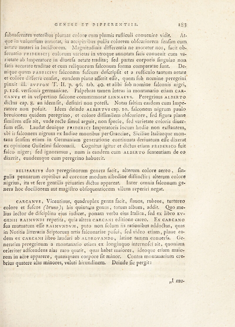 fiihiisfccntes veteribus plumas colore eum plumis rufiiculi conuenire viciif. At- que in vniuerluin anuotat, ia accipitribus pullis colorem obfcuriorem ienfijn cum aetate mutari in lucidiorem. Magnitudinis differentia ne moretur nos, facit ob- leruatio fkidericij colorum varietas in vtroque annotata fatis conuenit cum va- rietate ab Imperatore in diuerbi aetate tradita; fed partes corporis fingulae non latis accurate traditae et cum reliquorum falconum forma comparatae funt. De- nique quem FABRicivs falconem fufeum defcripfit et a rufliculo tantum aetate et colore difierre cenlet, eundem plane afferit effe, quem fub nomine peregrini pinxit ili. BvFFON T. II. p. g6. tab. 40. et alibi fub nomine falconis^nigri, p. 126. verfionis germanicae. Palpebras tamen luteas in montanario etiam car- CANvs et in vefpertino falcone commemorat linnakvs. Peregrinus alberto dictus cap. g. an idem fit, definiri non poted. Notas faltim easdem cum Impe- ratore non pofuit. Idem deinde ALBERxvscap. 10. fiilconem nigrum paulo breuiorem quidem peregrino, et colore difiimilem ohfcuriore, fed figura plane fimilem effe ait, vnde rede fimui arguit, non fpecie, fed varietate coloris diuer- fum efle. Laudat denique friderici Imperatoris locum hodie non exAantem, vbi is falconem nigrum ex Indiae montibus per Graeciae, Siciliae Itaiiaeque mon- tana fenfim etiam ia Germaniam generatione continuata deriuatum elTe dixerat ex opinione Giiiielmi faleonarii. Cognitus igitur et diclus etiam friderico fuit falco niger; fed ignoramus, num is eandem cum alberto fententiam de eo dixerit, eundemque cum peregrino habuerit. BELTSARivs duo peregrinoruiii genera facit, alterum colore aereo, fin- gulis pennarum capitibus ad coronae modum albedine difiindis; alterum colore nigrius, ita vt fere gentilis priuatim didus appareat. Inter omnia falconum ge- nera lioc dociliorem aut magiiiro obfequentiorem viium reperiri negat. CARCANvs, VIcentiiius, quadruplex genus facit, flauos, rubeos, turtureo colore et fufeos (bmno)'^ his quintiyn genus, totum album, addit. Quo me- lius iedor de dileipliiia eius iudicet, ponam verba eius Italica, ied ex libro ev- GENII RAiMVNDi repetita, quia altera carcani editione careo. Ex Carcano fua mutuatum eilc raimvndvm, puto non folum iis rationibus addudus, quas in Notitia litteraria Sriptorum artis falconariae pofui, fed video etiam, plane ea* dem ex carcani libro laudari ab aldrovando, latiiie tamen conueria. Ge- neratim peregrinum a montanario etiam ex longinquo iiUernofci ait, quoniam celeriter adfcendens alas raro quatit, quas habet maiores, ideoque etiam maio- rem in aere apparere, quamquam corpore fit minor. Contra montaiiarium cre- brius quatere alas minores, veluti hirimdiaem. Deinde fic pergit: „l mu
