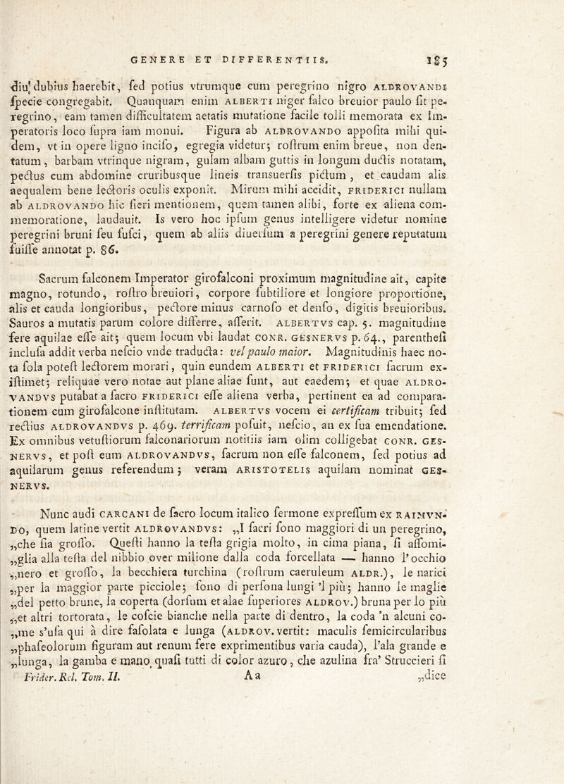 diu] dubius Iiaeretit, fed potius vtrumque cum peregrino nigro aldrovandj fpecie congregabit. Quanquam enim alberti niger falco breuior paulo fit pe- regrino, eam tamen difficultatem aetatis mutatione facile tolli memorata ex Im- peratoris loco iupra iam monui. Figura ab aldrovando appofita mihi qui- dem, vt in opere ligno incifo, egregia videtur5 rofirum enim breue, non den- tatum , barbam vtrinque nigram, gulam albam guttis in longum ducfiis notatam, pedlus cum abdomine cruribusque lineis transuerfis pidum , et.caudam alis aequalem bene ledoris oculis exponit. Mirum mihi accidit, friderigi nullam ab ALDROVANDO hic fieri mentionem, quem tamen alibi, forte ex aliena com- memoratione, laudauit. Is vero hoc ipfum genus intelligere videtur nomine peregrini bruni feu fufci, quem ab aliis diuerfum a peregrini genere reputatum luifle annotat p. 86» Sacrum falconem Imperator girofalconi proximum magnitudine ait, capite magno, rotundo, rofiro breuiori, corpore fubtiliore et longiore proportione, alis et cauda longioribus, pedore minus carnofo etdenfo, digitis breuioribus. Sauros a mutatis parum colore difierre, afferit. albertvs cap. 5. magnitudine fere aquilae effe ait; quem locum vbi laudat conr. gesnervs p.64., parenthefi incluta addit verba nefcio vnde traduda: vel paulo maior. Magnitudinis haec no- ta fola potefi: ledorem morari, quin eundem alberti et friderigi facrum ex- iftimet; reliquae vero notae aut plane aliae fiant, aut caedem; et quae aldro- VANDvs putabat a facro friderigi effe aliena verba, pertinent ea ad compara- tionem cum girofalcone infiitutam. albertvs vocem ei certificam tribuit; fed red:ius aldrovandvs p. 469. terrificam pofuit, nefcio, an ex fua emendatione. Ex omnibus vetufiiorum falconariorum notitiis iam oiim colligebat conr. ges- nervs, et pofi eum aldrovandvs, facrum non effe falconem, fed potius ad aquilarum genus referendum ; veram Aristotelis aquilam nominat ges* NERVS. / Nunc audi garcani de facro locum italico fermone expreffum ex raihvn- Do, quem latine vertit aldrovandvs: „I facri fono maggiori di un peregrino, „che fia grofib. Quefii hanno la tefia grigia molto, in cima piana, fi affomi- „giia alia tefia dei nibbio over milione dalla coda forcellata — hanno Focchio '„n^t’o et groffo, la becchiera turchina (rofirum caeruleum aldr.), le narici 55per ia maggior parte picciole; fono di perfona Iungi’1 piu; hanno le maglie „del petto brune, ia coperta (dorfum et alae fuperiores aldrov.) brunaper lo piii ,-,et altri tortorata, le cofcie bianche nella parte di dentro, la coda alciini co- tine sffifa qui a dire fafolata e lunga (aldrov. vertit; maculis femicircularibus „phafeoloruin figuram aut renum fere exprimentibus varia cauda), Fala grande e 5,[unga, la gamba e mano^ quali tutti di color azuro, clie azulina fra’ Struccieri fi Frider. Rcl, Tom, IL A a ,,dice