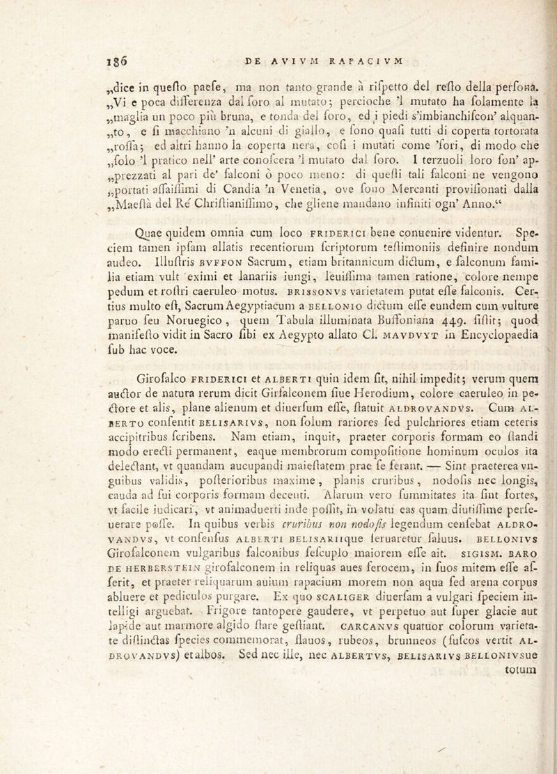 ,,dlce in queAo paefe, raa non tanto grande a rifpetto dei reflo deJla perfona. ,,Vi e poca differenza dal foro al mutato; percioche 'l mutato ha folamente ia ,,ma'giia un poco piu bruiia, e tonda dei foro, ed piedi s‘imbianchifcon^ aiquan- „to, e fi macchiano *n aicuni di giailo, e fono quafi tutti di coperta tortorata „roffa; ed aitri lianno la coperta iiera, cofi i mutati come ’fori, di modo che „foio pratico nelf arte coiioiccra 1 mutato dal foro. I terzuoli loro fon^ ap- „piezzati al pari de’ falconi o poco meno: di quefli tali falconi ne vengono „portati affaiilimi di Candia hi Venetia, ove fono Mercanti provifionati dalla ,,Maelia dei Re'’ ClinflianilTimo, che gliene mandano infiniti ogiV Anno.^‘ Quae quidem omnia cum loco friderici bene conuenire videntur. Spe- ciem tamen ipfam allatis recentiorum Icriptorum teflimoniis definire nondum audeo. liluflris bvffon Sacrum, etiam britannicum didum, e falconum fami- lia etiam vult eximi et lanariis iungi, leuilfima tamen ratione, colore nempe pedum et roflri caeruleo motus, erissonvs varietatem putat efle falconis. Cer- tius multo efl, Sacrum Aegyptiacum a bellonio diduni elfe eundem cum vulture paruo feu Noruegico , quem Tabula illuminata Bufloniana 449. fiflit; quod manifeflo vidit in Sacro fibi ex Aegypto allato Ci. mavdvyt in Encyciopaedia fub hac voce. Girofalco friderici et alberti quin idem fit, nihil impedit; verum quem audor de natura rerum dicit Girfalconem fiue Herodium, colore caeruleo in pe- dore et alis, plane alienum et diuerfum elfe, flatuit aldrovandv^s. Cum al- BERTO confentit BELisARivs, non folum rariores fed pulchriores etiam ceteris accipitribus fcribens. Nam etiam, inquit, praeter corporis formam eo liandi modo eredi permanent, eaque membrorum compofitione hominum oculos ita deledant, vt quandam aucupandi maieflatem prae fe ferant. — Sint praeterea vn- guibiis validis, pollerioribus maxime, planis cruribus, nodofis nec longis, cauda ad fui corporis formam decenti. Alarum vero lummitates ita fint fortes, vt facile iudicari', vt animaduerti inde pofilt, in volatu eas quam diutifiime perfe- uerare polle. In quibus verbis cruribus non nodofis legendum cenfebat aldro- VANDvs, vt confenfus alberti BELiSARiique leruaretur faluus. bellonivs Girofaiconem vulgaribus falconibus fefcuplo maiorem elfe ait. sigism. baro DE herberstein girofalconcm in reliquas aues ferocem, in fuos mitem efle af- ferit, et praeter reliquarum auium rapacium morem non aqua fed arena corpus abluere et pediculos purgare. Ex quo scaliger diuerfam a vulgari fpeciem in- telligi arguebat. Frigore tantopere gaudere, vt perpetuo aut fuper glacie aut ]ap*;de aut marmore algido flare gefliant. carcanvs quatuor colorum varieta- te dillindas fpecies commemorat, flauos, rubeos, brumieos (fufcos vertit al- DROVANDVs) ctaibos. Sed nec iile, nec albertvs, belisarivs BELLONivsue totum