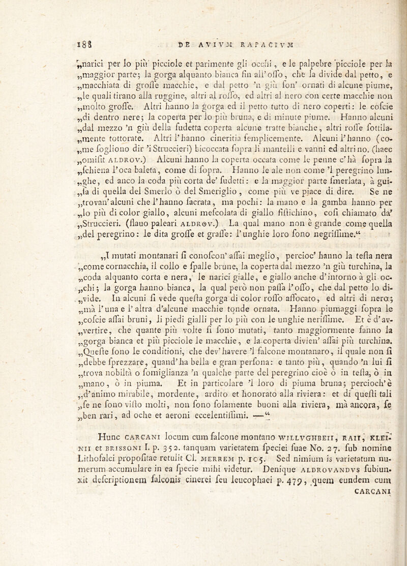 ^naiici per Io piu' picciole et parimente gli occlii, e le palpebre 'picciole per h „maggior parte; la gorga alcjuanto biaiica fin aibolTo, che la divide dai petto, e „macchiata di grolle niacchie, e dai petto glu foiv ornati di alcune piume, „le (jiiali tiraiio alJa ruggine, altri al rolTo, ed altri al nero con certe macchie nou „molto grofle. Altri hanno la gorga ed ii petto tutto di nero coperti: le cofcie ,,di dentro nere ; la coperta per lo piu bruna, e di minute piume. Hanno alcuni „dal mezzo ’ii giu della fudetta coperta alcune tratte bianclie, altri rolTe fottila» „mente tottorate. Altri?hanno cirieritia femplicemente. Alcuni?hanno (co- ,,rae fogliono dir ^i Struccieri) bicoccata lopra li mantelli e vanni ed altri no. (haec ^omifit ALDROv.) Alcuni hanno la coperta occata come le penne c^Iia fopra la „fchiena ?oca baleta, come di fopra. Hanno le ale non come ’i peregrino lun- „ghe, ed anco la coda piu corta de^ fudetti: e la maggior parte fmerlata, a gui- ,,fa di queila dei Smerlo d dei Smeriglio , come piu ve piace di dire. Se ne 3,trovai? alcuni che ? hanno facrata, ma pochi: la mano e la gamba hanno per , „lo piu di color giallo, alcuni mefcolata di giallo fiilichino, cofi chiamato da^ „Struccieri. (flauo paleari aldrov.) La qual mano non e grande come quella ^^del peregrino: le dita grofle et grafle: ?unghie loro fono negriflime?‘ „1 mutati montanari fi conofcon’ aflai meglio, percioc^ hanno Ia tefla nera ',,come cornacchia, il collo e Ipalle brune, la coperta dai mezzo ’n giu turchina, la „coda alquanto corta e nera,* le narici gialle, e giallo anche d^intorno a gli oc- 3,chi; la gorga hanno bianca, la qual pero non pafla ?oflo, che dai petto lo di- ,„vide. In alcuni fi vede quefia gorga di color roflb aflbcato, ed altri di nero; ,ana ? una e ? altra d^alcune macchie tonde ornata. Hanno piumaggi fopra le ,3Cofcie aflai bruni, li piedi gialli per lo piu con le unghie neriflime. Et e d^av- „vertire, che quante piu volte fi fono mutati, tanto maggiormente fanno la ,,gorga bianca et piu picciole le macchie, e la-coperta diviei? aflai piu turchina. „Quefie fono le conditioni, che dev*havere falcone montanaro, il quale non fi „debbe fprezzare, quandHia bella e gran perfona: e tanto piu, quando 'n lui fi „trova nobilta o fomiglianza *n qualche parte dei peregrino eioe d in teila, d ia „mano, d in piuma. Et in particolare loro di piuma bruna; perciocHe „d^animo mirabile, mordente, ardito et honorato alia riviera: et di quefli tali ,,fe ne fono villo molti, non fono folamente buoni alia riviera, ma ancora, fe „ben rari, ad oche et aeroni eccelentilTimi. — Hunc CARCANi locum cum falcone montano wiLLVGHBEii, raii, klei- Nii et BRissoNi I. p. 352. fanquam varietatem fpeciei fuae No. 27. fub nomine Lithofalci propofitae retulit Cl. merrem p. 105. Sed nimium is varietatum nu- merum accumulare in ea fpecie mihi videtur. Denique aldrovandvs fubiun- xit defcriptionem falconis cinerei feu leucophaei p. 47p, ^quem eundem cum CARCANI