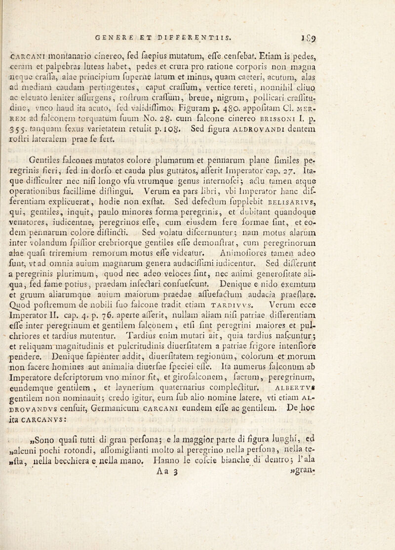CAR CANI montanario cinereo, fed faepius mutatum, efle.cenfebat. Etiam is pedes, ceram et palpebras luteas habet, pedes et crura pro ratione corporis non magna neque craila, alae principium fiiperne larum et minus, quam caeteri, acutum, alas ad mediam caudam pertingentes, caput cralTum, vertice tereti, nonnihil cliuo ac elcuato leniter alTurgens, rollrum cralTum,^breue, nigrum, pollicari craffitUr dine, vnco haud ita acuto, fed validiflimo. Figuram p. 480. appofitam Cl. mer- rem ad falconem tore|uatum fuum No. 2§. cum falcone cinereo brissoni I. p. 355, tanquam fexus varietatem retulit p. io8» Sed figura aldrovandi dentem roilri lateralem prae fe fert. Gentiles falcones mutatos colore plumarum et pennarum plane fimiles pe- regrinis fieri, fed in dorfo et cauda plus guttatos, alTerit Imperator‘cap. 27. Ita- que difficulter nec nifi longo vfu vtrumque genus internofei; aflu tamen atque operationibus facillime difiingui. Verum ea pars libri, vbi Imperator hanc dif- ferentiam explicuerat, hodie non exfiat. Sed defecflum fupplebit belisarivs, qui, gentiles, inquit, paulo minores forma peregrinis, et dubitant quandoejue venatores, iudicentne, peregrinos efife, cum eiusdem fere formae fint, et eo- dem pennarum colore difiinedi. Sed volatu difeernuntur; nam motus alarum inter volandum fpiilior crebriorque gentiles effe demonflrat, cum peregrinorum alae quafi triremium remorum motus effe videatur. Animofiores tamen adeo funt, vtad omnia auium magiiarum genera audaciilimi iudicentur. Sed differunt a peregrinis plurimum, quod nec adeo veloces fint, nec animi generofitate ali- qua, fed fame potius, praedam infectari confuefeunt. Denique e nido exemtum et gruum aliarumque auium maiorum praedae affuefaffum audacia praefiare. Quod pofiremum de nobili luo falcone tradit etiam tardivvs. Verum ecce Imperatorii, cap. 4. p. 76. aperte alferit, nullam aliam nifi patriae differentiam effe inter peregrinum et gentilem falconem , etfi fint peregrini maiores et pul- chriores et tardius mutentur. Tardius enim mutari ait, quia tardius nafcuntur; et reliquam magnitudinis et pulcritudinis diuerfitatem a patriae frigore intenfiore pendere. Denique fapienter addit, diuerfitatem regionum, colorum et’morum non facere homines aut animalia diuerfae fpeeiei effe. Ita numerus falconum ab Imperatore deferiptorum vno minor fit, et girofalconem, facrum, peregrinum, eundemque gentilem , et laynerium quaternarius compleClitur. albertyi gentilem non nominauitj credo igitur, eum fub alio nomine latere, vti etiam al- DRovANDvs ceiifuit, Germanicum carcani eundem effe ac gentilem. De hoc itacARCANVs: «Sono quafi tutti di gran perfona; e Ja maggior parte dl figura lunghi, ed «alcuni pochi rotondi, affomiglianti molto al peregrino nella perfona, nella te- »fla, nella beccJnera e nella mano. Hanno le cofeie bianche di dentroj Fala