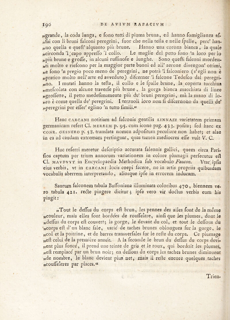 / I i I 3>gran(3e, Ia coda lunga, e fono tutti di piuma bruiia, ed hanno fomiglianza af- 3,fai con li bruni falconi peregrini, fuor che nella tefla e nelle fpalle, perc’ han- «110 quelia e queA’ alquanto piu brune. Hanno una corona bianca , la quale jjcirconda l’capo appreffo 1 collo. Le maglie dei petto fono loro per lo 3)piu brune e groffe, in alcuni ruAinofe e lunghe. Sono que Ai falconi mordeii- „ti molio e riefconoper la maggior parte buoni ed alP aerone divengon’ ottimi, „e fono Ai pregio poco meno de’ peregrini, ne potra A ialconiero (s^egli non e «pratico molto nelf arte ed avveduto) difcerner A falcone Tedefco dal peregri- ,>no. I mutati hanno la teAa, ii collo e ie fpalle brune, la coperta turchina 3>mefcolata con alciine traverfe piii brune , la gorga bianca maccliiata di linee jjgroffette, il petto medeAmamente piu de’ bruni peregrini, ma la mano di lo- ,)ro e come quelia de^ peregrini. I terzuoli loro non fi difcernono da quelli de’ jjperegrini per effer eglino *n tutto fimiii.« Hanc CAR CANI notitiam ad falconis gentilis linnaei varietatem primam germanicam refert Cl. merrem p. 95. cum icone pag. 433. polita; fed haec ex coNR. GESNERO p. 58. traiislata nomen adpoAtum peculiare non habet; et alae in ea ad caudam extremam pertingunt, quas tamen mediocres effe vult V. C. Huc referri meretur deferiptio accurata falconis gallici, quem circa Pari- fios captum per trium annorum variationem in colore plumagii perfecutus eA Cl. MAVDVYT in Encyclopaedia Methodica fub vocabulo Vtar'ipfis eius verbis, vt in carcani locis coepi facere, ne in artis propriis quibusdam vocabulis aberrem interpretando, aliosque ipfe in errorem inducam. Saurum falconem tabula Buffoniana illuminata coloribus 470, biennem ve- ro tabula 411. rede pingere dicitur ; ipfe vero vir dodus verbis eum his pingit: jjTout le deffus du corps eA brun, les pennes des ailes font de la meme «couleur, mais elles font bordees de rouffeatre, ainA que les plumes, dont le j,deffus du corps eA couvert; la gorge, le devant du coi, et tout le deffous du '3)Corps eA d’un blanc fale, varie^ de taches brunes oblongues furia gorge, le 35C0I et la poitrine, et de barres transverfales fur le reAe du corps. Ce plumage jjeA celui de la premide annexe. A la feconde le brun du deffus du corps devi- 35ent plus fonce', il preiid une teinte de gris et le roux, qui bordoit les plume^ »eA remplace'’ par un brun noir; en deffous du eorps les taches brunes diminuent j,de nombre, le blanc devient pius net, mais ii reAe eiicore quelques taches »rouffeatres par places,« Trien- 1- I I