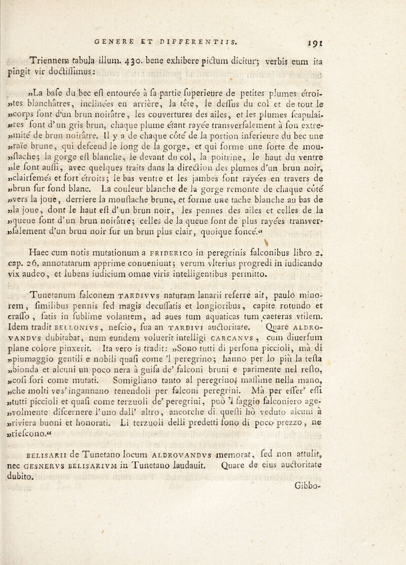 Triennem fabula ilium. 430. bene exhibere pidum dicitur^ verbis eum ita pingit vir dodiffimus: . «La bale du bec eA entouixe a fa partie fuperieure de petites plumes etroi- 3>tes bianchatres, inclinees en arrid^e, Ja tde, le deAus du coi et de tout le ajcorps font d’uii biun iioiratre, les couvertures des aiies, et ies plumes fcapuiai- wres font d’un gris brun, chaque piume dant raye^e traiisverfaiement a foii extre- Minite’ de brun noiratre. ll y a de chaque cote’ de ia portion inferieure du bec une jjraie brune, qui defceud ie long de ia gorge, et qui forme une forte de mou- jjAache; ia gorge eA bianche.j le dcvant du coi, ia poitrine, ie haut du ventre 3jie font aufli, avec queiques traits dans la diredion des plumes d^uii brun noir, «clairfeme's et fort droitsj ie bas ventre et ies jainbes font raye'es en travers de wbrun fur fond bianc. La couicur bianche de ia gorge remonte de cliaque cote jjvers ia joue, derriere ia mouAache brune, et forme une tache bianche au bas de jjia joue, dont le haut eA d’un brun noir, ies pennes des aiies et celies de la i>queue font d’un brun noioatrc; celies de la queue font de plus raye'’es transver- wfaiement d’un brun noir fur un brun pius ciair, quoique fonce'/* Haec curn notis mutationum a friderico in peregrinis falconibus libro 2. cap. 26, annotatarum apprime conueniuiit^ verum viterius progredi in iudicando vix audeo, et iubens iudicium omne viris intelligentibus permitto. Tunetanum falconem tardivvs naturam lanarii referre ait, paulo mino- rem, Amilibus pennis fed magis decuAatis et longioribus, capite rotundo et eraffo , fatis in fubiime volantem, ad aues tum aquaticas tum caeteras vtiiem. Idem tradit BELLONivs, nefcio, fu a an tardivi audoritate. Quare aldro- vANDvs dubitabat, num eundem voluerit intelligi carcanvs , cum diuerfum plane colore pinxerit. Ita vero is tradit: j>Sono tutti di perfona piccioli, ma di ^piumaggio gentili e nobili quafi come 'l peregrino; hanno per lo piii la teAa >,bionda et alciini iin poco nera a guifa de‘ falconi bruni e parimente nel reAo, j^coA fori come mutati. Somigliano tanto al peregrino^ maAune nella mano, >jche molti ves^ingannaiio tenendoli per falconi peregrini. Ma per effer’ eAi «tutti piccioli et quafi come terzuoli de’peregrini, pud ’i faggio falconiero age- «volmente difcernere Puno dall’ altro, ancorche di queAi hd veduto aleoni ii «riviera buoni et honorati. Li terzuoli delli predetti fono di poco prezzo, ne «riefcono.« BELisARii de Tunetano locum aldrovandvs memorat, fed non attulit, nec GESNERvs belisarxvm in Tunetano iaudauit. Quare de eius audoritate dubito. Gibbo- /