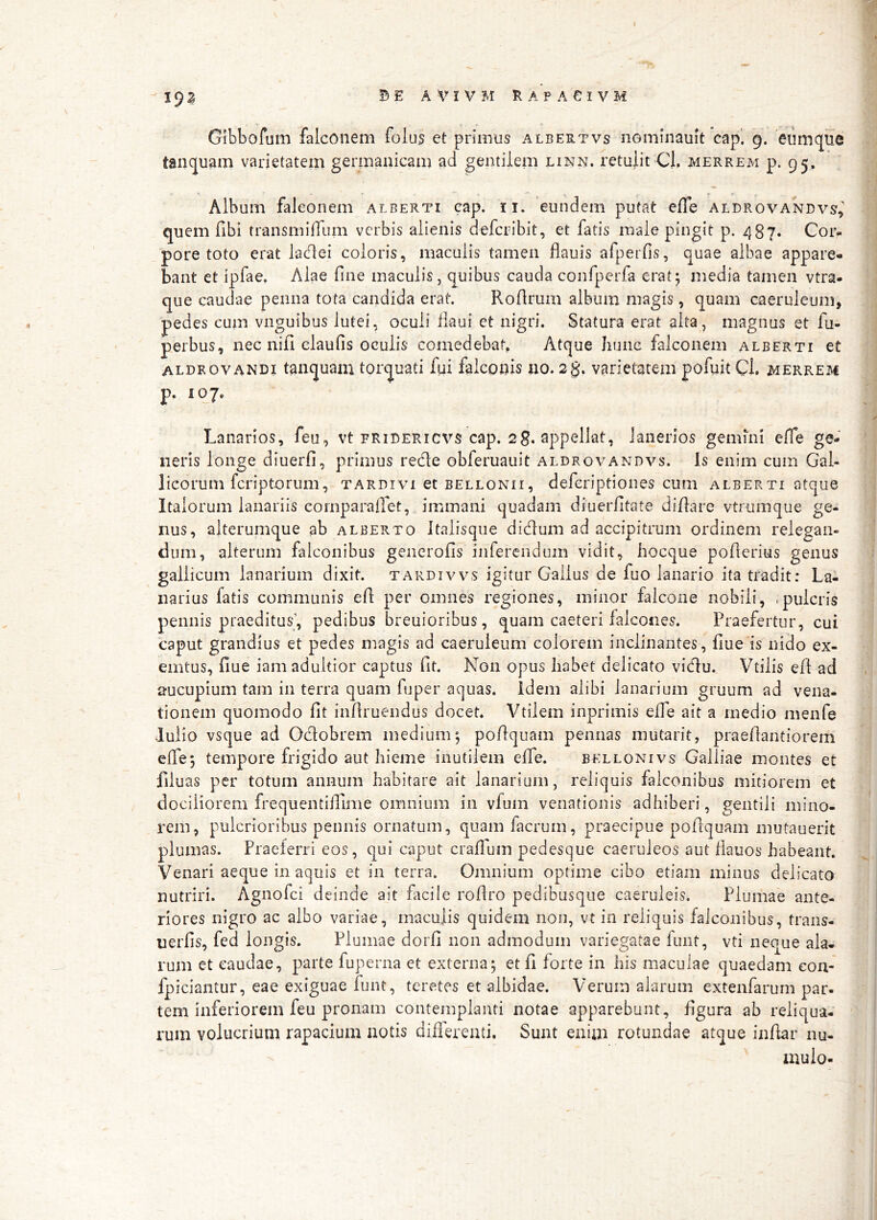 f \()% BEAViVMRAPAeiVM Gibbofum falconem folu5 et primus albertvs nominauit cap*. 9. emnc^ue tanquam varietatem germanicam ad gentilem linn. retulit CL merre?^ p. 95. Album falconem alberti cap. ii. eundem putat efle aldrovandvs,^ quem fibi transmiffum verbis alienis defcribit, et fatis male pingit p. 487. Cor- pore toto erat ladei coloris, maculis tamen flauis afperfis, quae albae appare- bant et ipfae. Alae fine maculis, quibus cauda confperfa erat; media tamen vtra- que caudae penna tota candida erat. RoArum album magis, quam caeruleum, pedes cum vnguibus lutei, oculi iiaui et nigri. Statura erat alta, magnus et fu- perbus, nec nifi claufis oculis comedebat, Atque Jiune falconem alberti et aldrOVANDI tanquam torquati fui falconis no. 2$. varietatem pofuit Cl, merrem p. 107. Lanarios, feo, vt fridericvs cap. 2g. appellat, ianerios gemini effe ge- neris longe diuerfi, primus rede obferuauit aldrovandvs. Is enim cum Gal- licorum fcriptorum, TARDIVI et BELLONii, defcriptioues cuiii alberti atque Italorum lanariis cornparallet, immani quadam diuerfitate di/lare vtrumque ge- nus, alterumque ab alberto Italisque didum ad accipitrum ordinem relegan- dum, alterum falconibus generofis inferendum vidit, hocque poderius genus galiicum lanarium dixit, tardivvs igitur Gallus de fuo lanario ita tradit: La- narias fatis communis ed per omnes regiones, minor falcone nobili, .puicris pennis praeditus’, pedibus breuioribus, quam caeteri falcones. Praefertur, cui caput grandius et pedes magis ad caeruleum colorem inclinantes , flue is nido ex- emtus, fine iamadultior captus fit. Non opus habet delicato vidu. Vtilis ed ad aucupium tam in terra quam fuper aquas, idem alibi lanarium gruum ad vena- tionem quomodo dt indruendus docet. Vtilem inprimis ede ait a rnedio menfe Iulio vsque ad Odobrem medium; podquam pennas mutarit, praedantiorem efle; tempore frigido aut hieme inutilem efle. bellonivs Galliae montes et fiiuas per totum annum habitare ait lanarium, reliquis falconibus mitiorem et dociliorem frequentillime omnium in vfum venationis adhiberi, gentili mino- rem, pulcrioribus pennis ornatum, quam facrum, praecipue podquam mutauerit plumas. Praeferri eos, qui caput cradum pedes(]ue caeruleos aut dauos habeant. Venari aeque in aquis et in terra. Omnium optime cibo etiam minus delicato nutriri. Agnofei deinde ait facile rodro pedibusque caeruleis. Plumae ante- riores nigro ac albo variae, maculis quidem non, vt io reliquis falconibus, trans- uerfis, fed longis. Plumae dorfi non admodum variegatae funt, vti neque ala- rum et caudae, parte fuperna et externa; et fi forte in his maculae quaedam cou- fpiciantur, eae exiguae funt, teretes et albidae. Verum alarum extenfarum par- tem inferiorem feu pronam contemplanti notae apparebunt, figura ab reliqua- rum volucrium rapacium notis diilerenti. Sunt enim rotundae atque indar nu- inulo-
