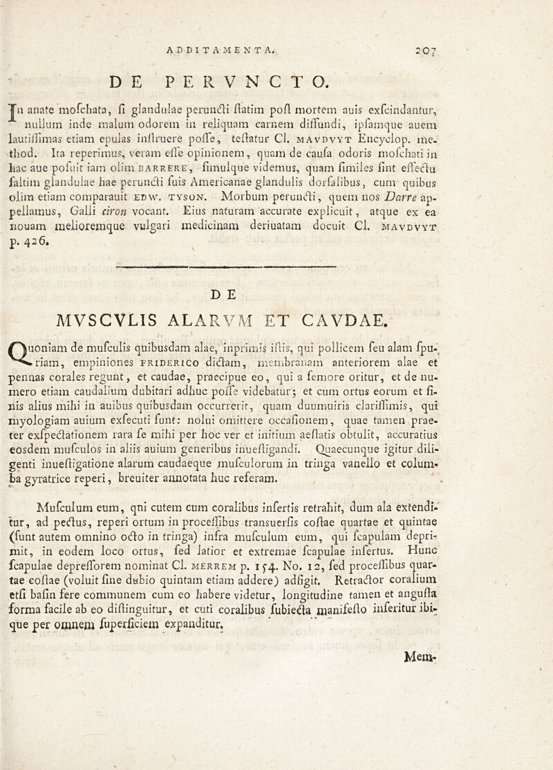 DE P E R V N C T O. Jii anate mofchata, fi glandulae peruiidi fiatim pofi mortem auis exfcindantur, nullum inde malum odorem in reliquam carnem diffundi, ipfamque auem lautiilimas etiam epulas inflruere polTe, tefiatur Cl. mavdvyt Encyclop. mc- thod. Ita reperimus, veram efle opinionem, quam de caufa odoris mofchati in liac aue poiult iam olim barrere, fimulque videmus, quam fimiles fint effeclu faltim glandulae hae peruncdi fuis Americanae glandulis dorfalibus, cum quibus olim etiam comparauit edw. tyson. Morbum perunbli, quem nos ap- pellamus, Galli ciron vocant. Eius naturam accurate explicuit, atque ex ea iiouam melioremque vulgari medicinam deriuatam docuit Cl. mavdvyt p. 426. ^ ^ D E MVSCVLIS ALARVM ET CAVDAE. ' t Quoniam de mufculis quibusdam alae,' inprimis ifiis, qui pollicem feu alam fpu- •-riam, empiniones friderico didam, ineiiibranam anteriorem alae et pennas corales regunt, et caudae, praecipue eo, qui a femore oritur, et de iiu- mero etiam caudalium dubitari adhuc poiTe videbatur; et cum ortus eorum et fi- nis alius mihi in auibiis quibusdam occurrerit, quam duumuiris clarifiimis, qui niyologiam auium exfecuti funt: nolui omittere occafionem, quae tamen prae- ter exfpedationem rara fe miiii per hoc ver et initium aeflatis obtulit, accuratius eosdem mufculos in aliis auium generibus inuefiigaiidi. Quaecunque igitur dili- genti inuefiigatione alarum caudaeque mufcuiorum ia tringa vanello et colum- ba gyratrice reperi, breuiter annotata huc referam. Mufculum eum, qni cutem cum coralibus infertis retrahit, dum ala extendi- tur, ad pedus, reperi ortum in procefiibus transuerfis cofiae quartae et quintae (funt autem omnino odo in tringa) infra mufculum eum, qui fcapulam depri- mit, in eodem loco ortus, fed latior et extremae fcapulae infertus. Hunc fcapulae deprefforem nominat Cl. merrem p. 1^4. No. 12, fed procefiibus quar- tae cofiae (voluit fine dubio quintam etiam addere) adfigit, Retracfior coralium etfi bafin fere communem cum eo habere videtur, longitudine tamen et angufia forma facile ab eo difiinguitur, et cuti coralibus fubieda manifeflo inferitur ibi- que per omnem fuperficiem expanditur. Mem-